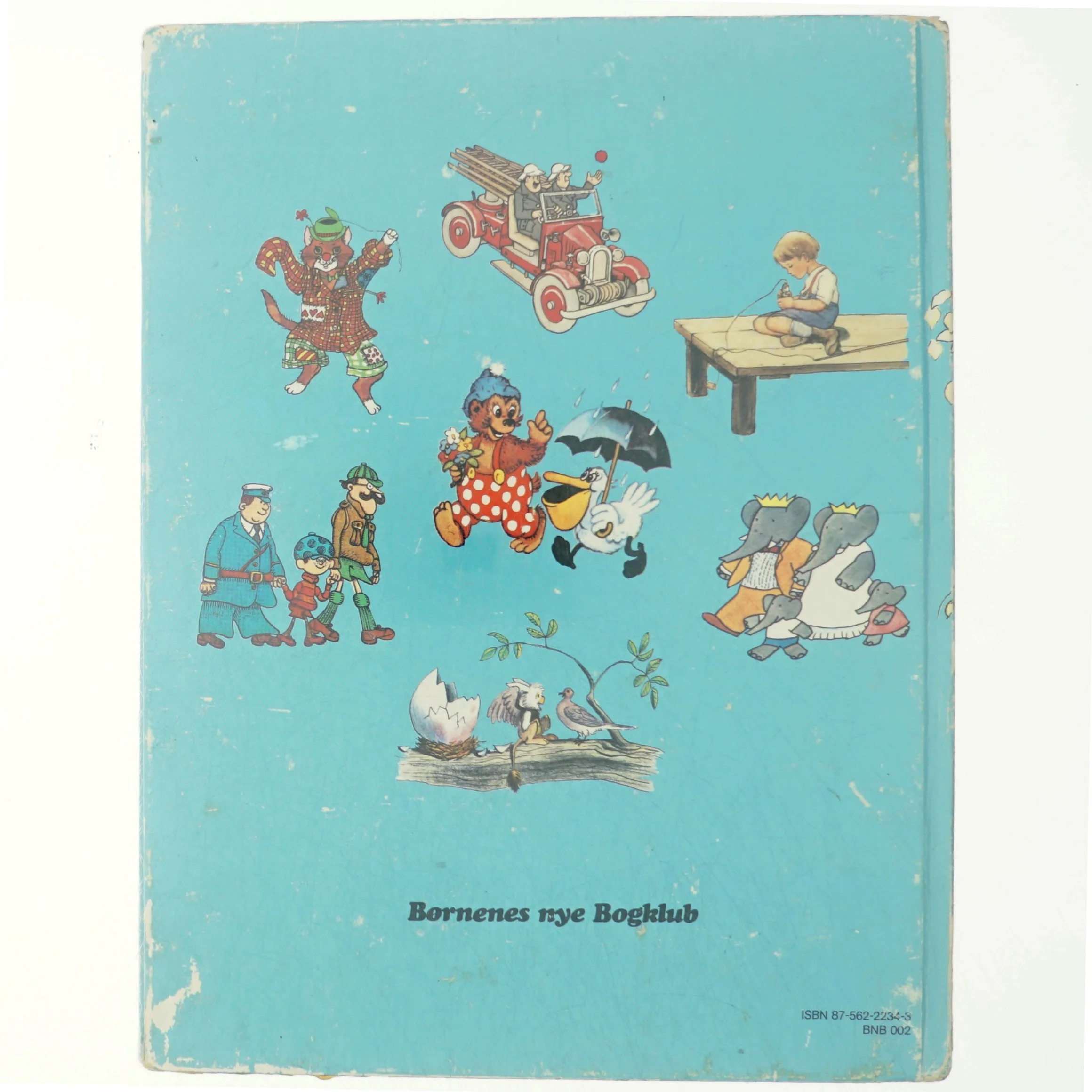 Undulat fløjet væk! børnebog