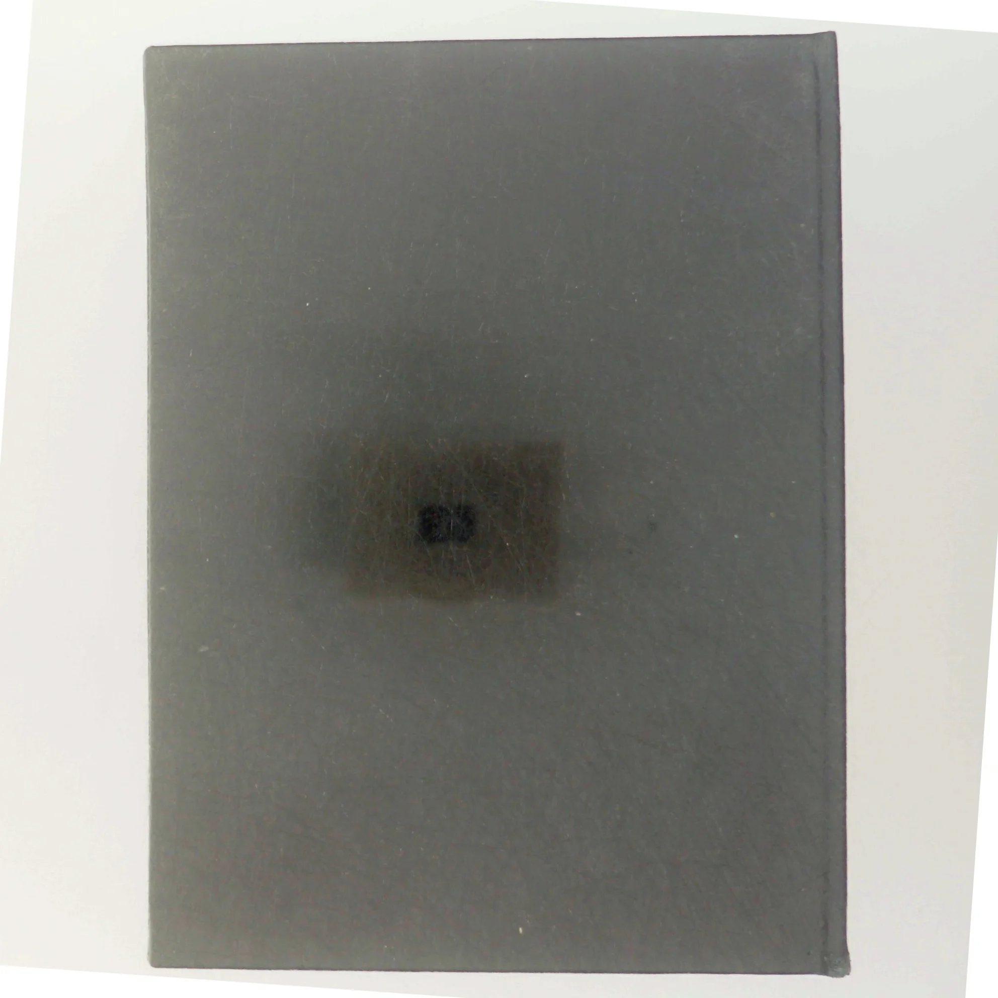 Bog 'Manden med træerne'