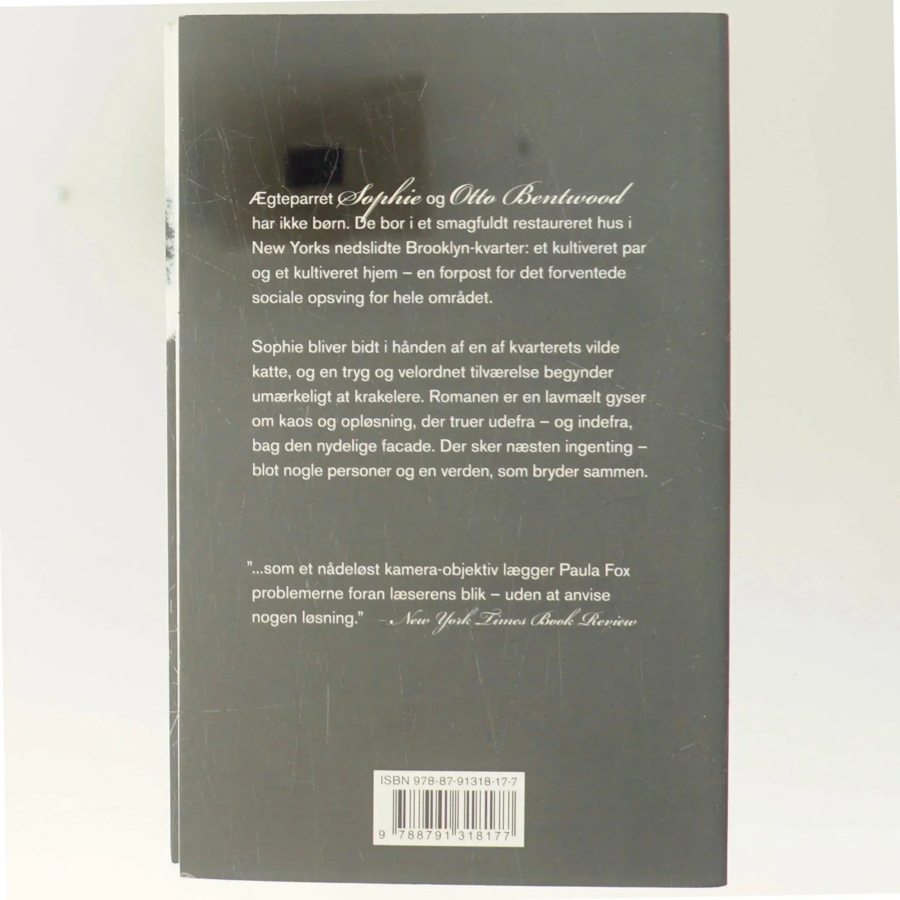 Desperate personer : roman af Paula Fox (Bog)