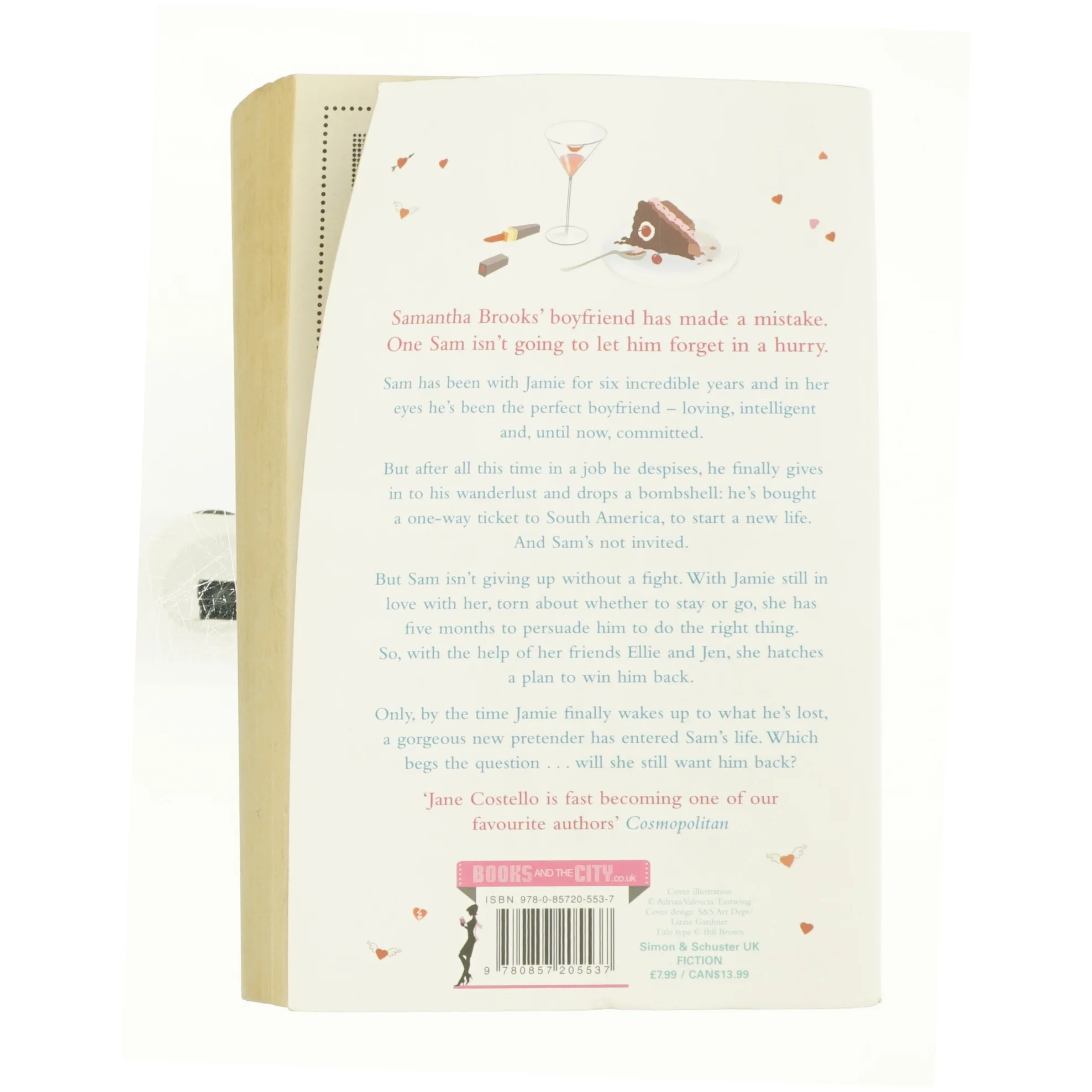 All the Single Ladies af Jane Costello (Bog)