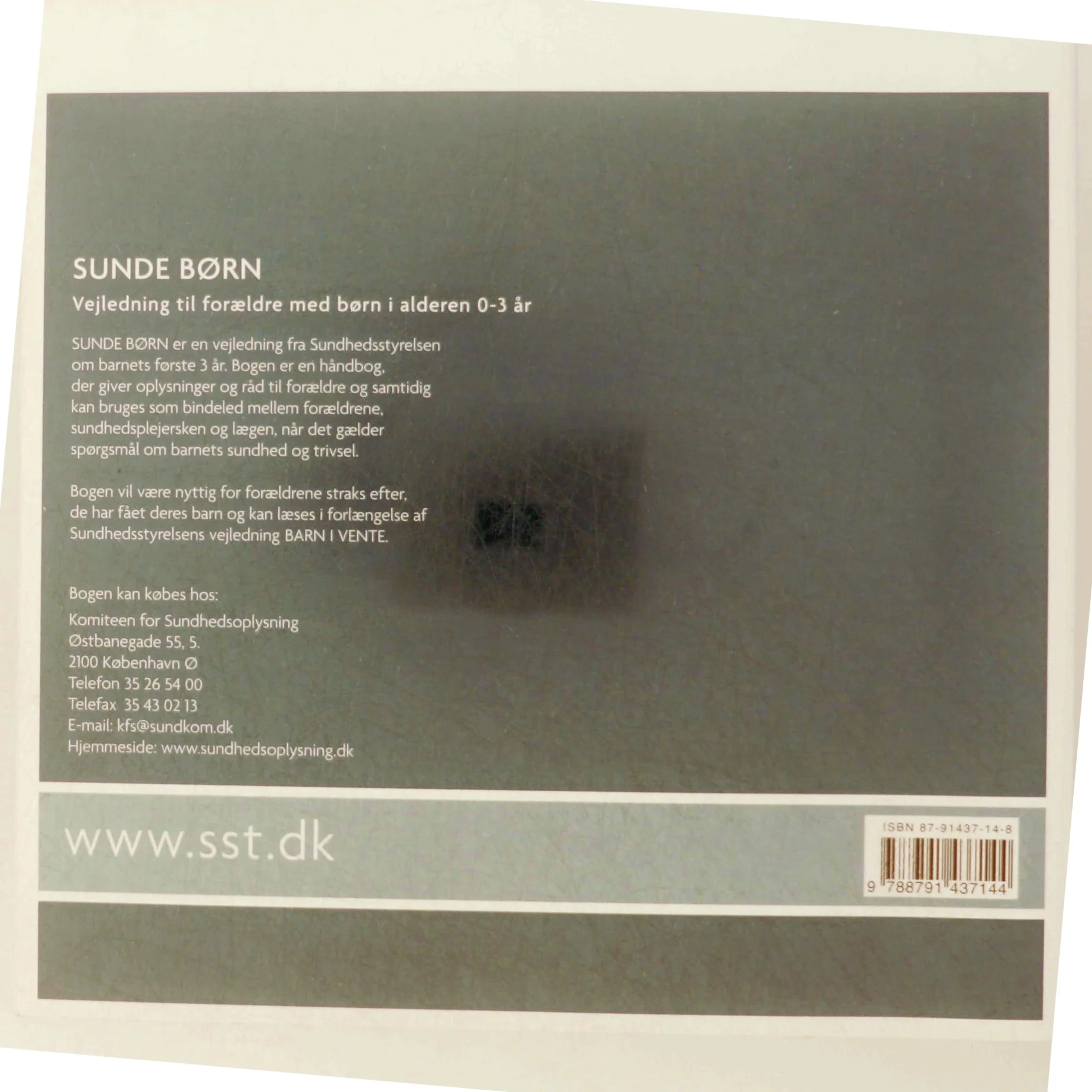 Sunde børn : vejledning til forældre med børn i alderen 0-3 år af Marianne Wung-Sung (Bog)