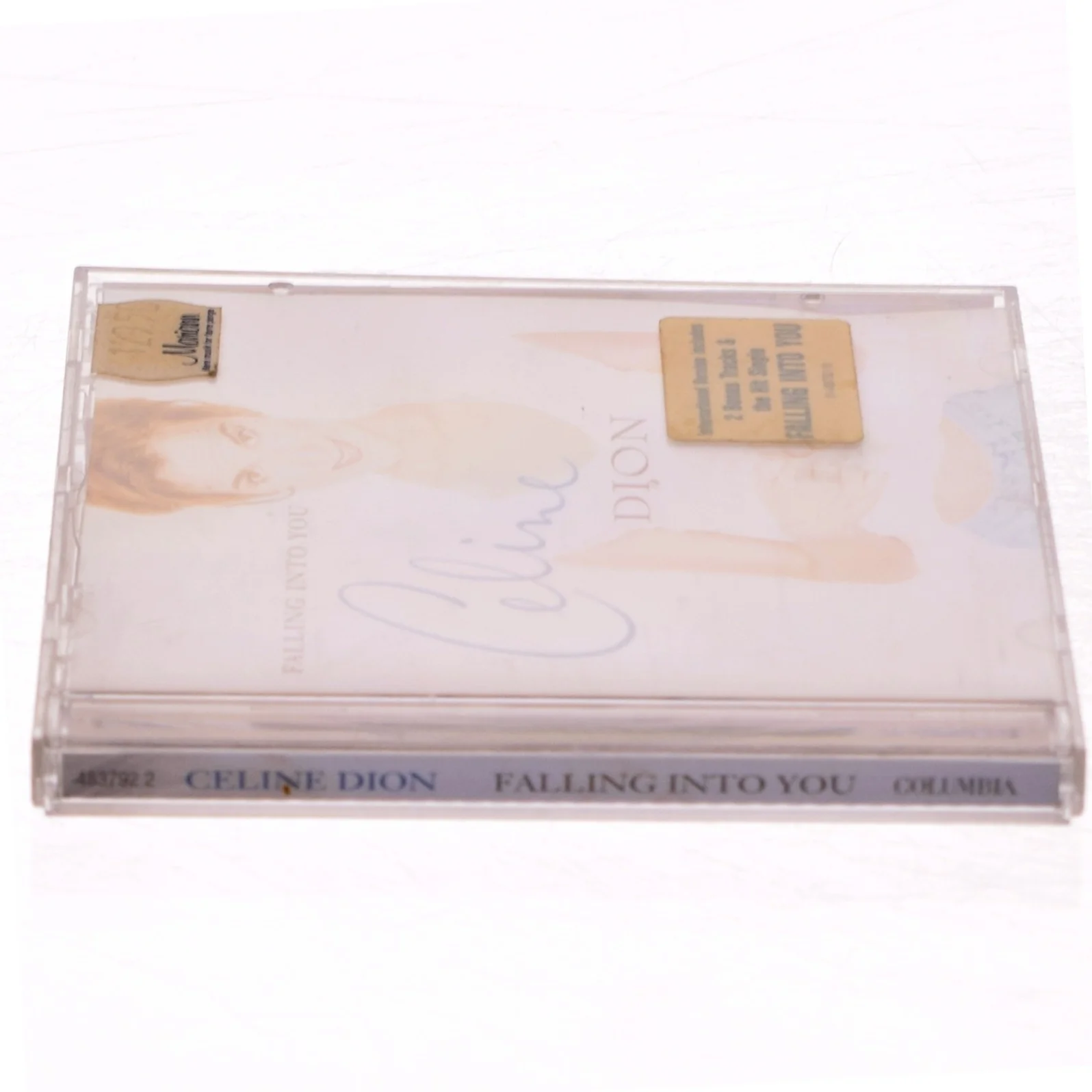 Celine Dion, Falling into you fra Columbia