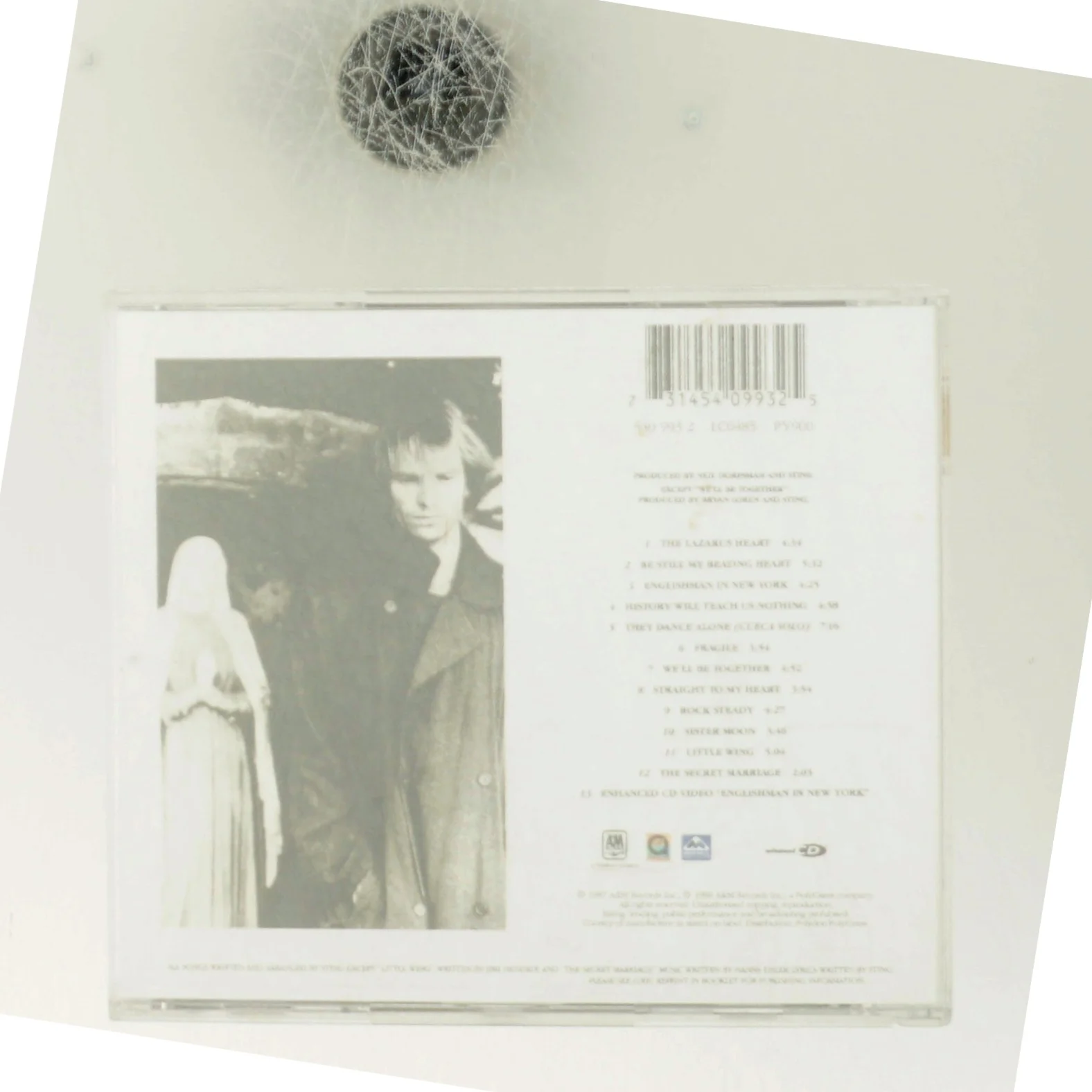 CD med Sting - Nothing Like The Sun