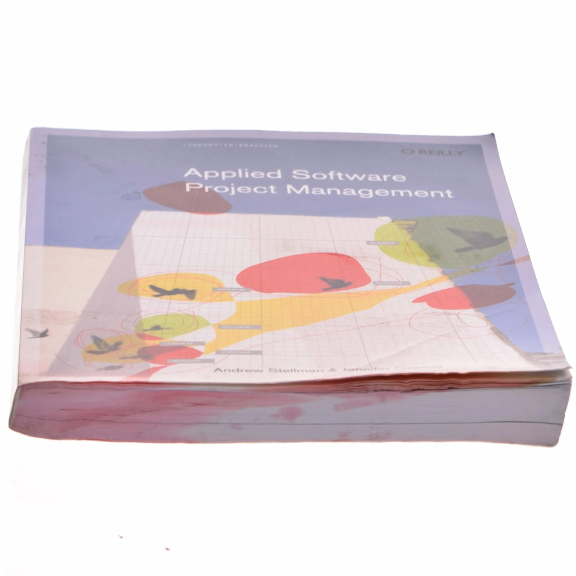 Applied software project management (Bog)