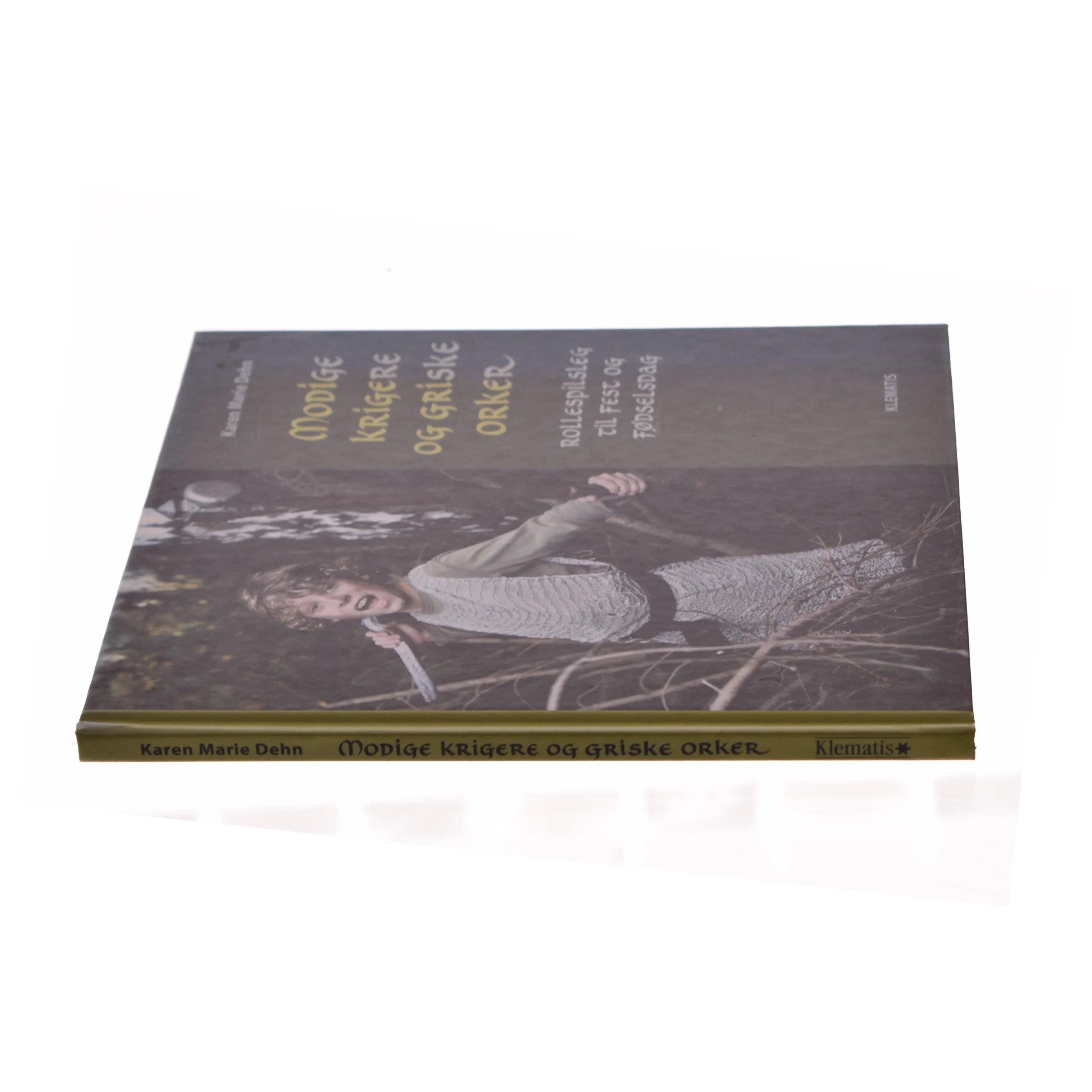 Modige krigere og griske orker : rollespilsleg til fest og fødselsdag af Karen Marie Dehn (Bog)