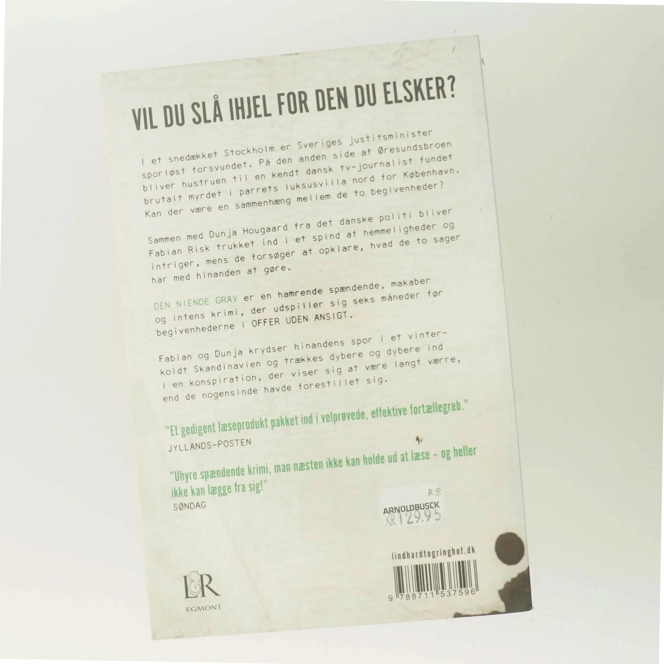 Den niende grav af Stefan Ahnhem (Bog)