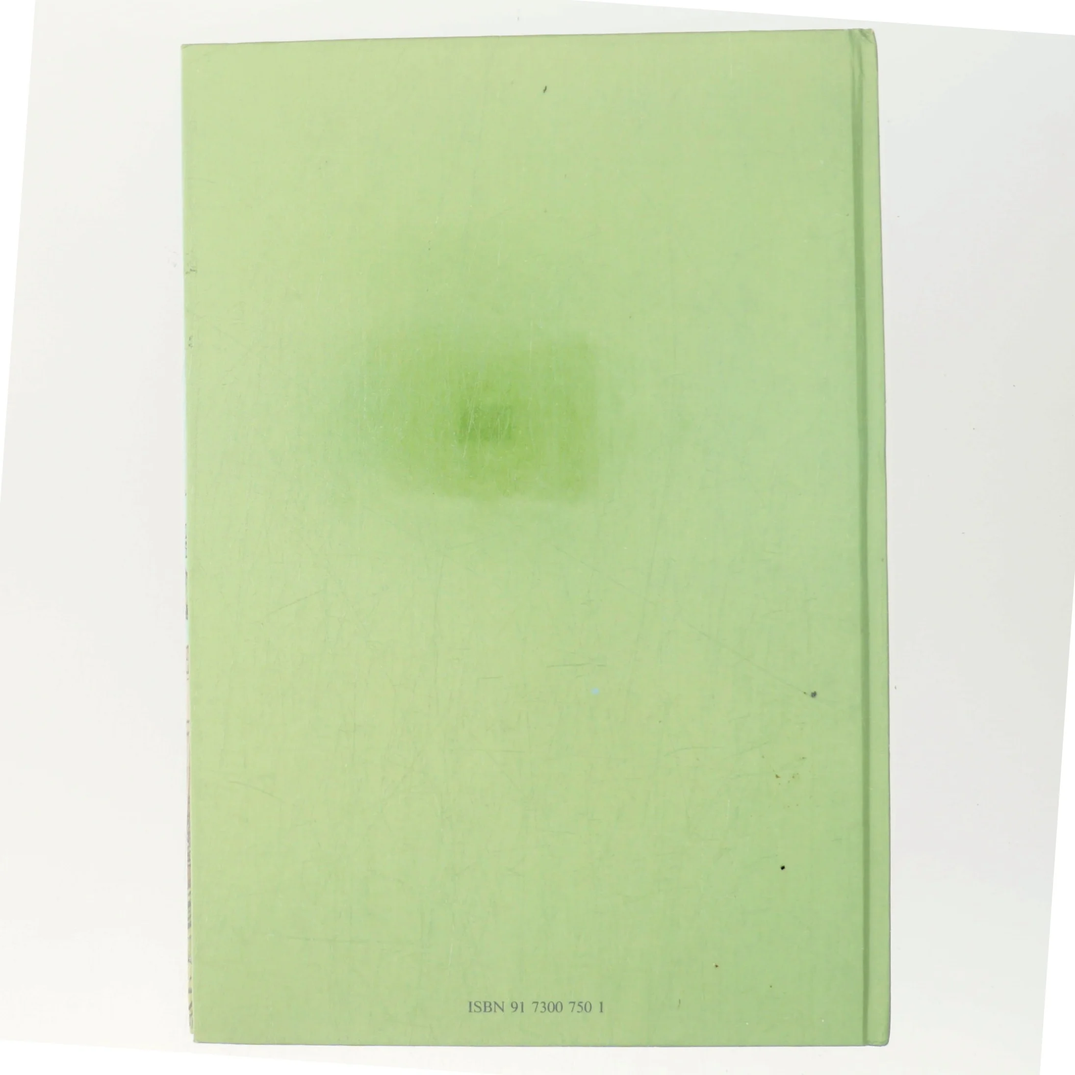 Stampen och skogsbranden af <Bogens forfattere> (Bog)