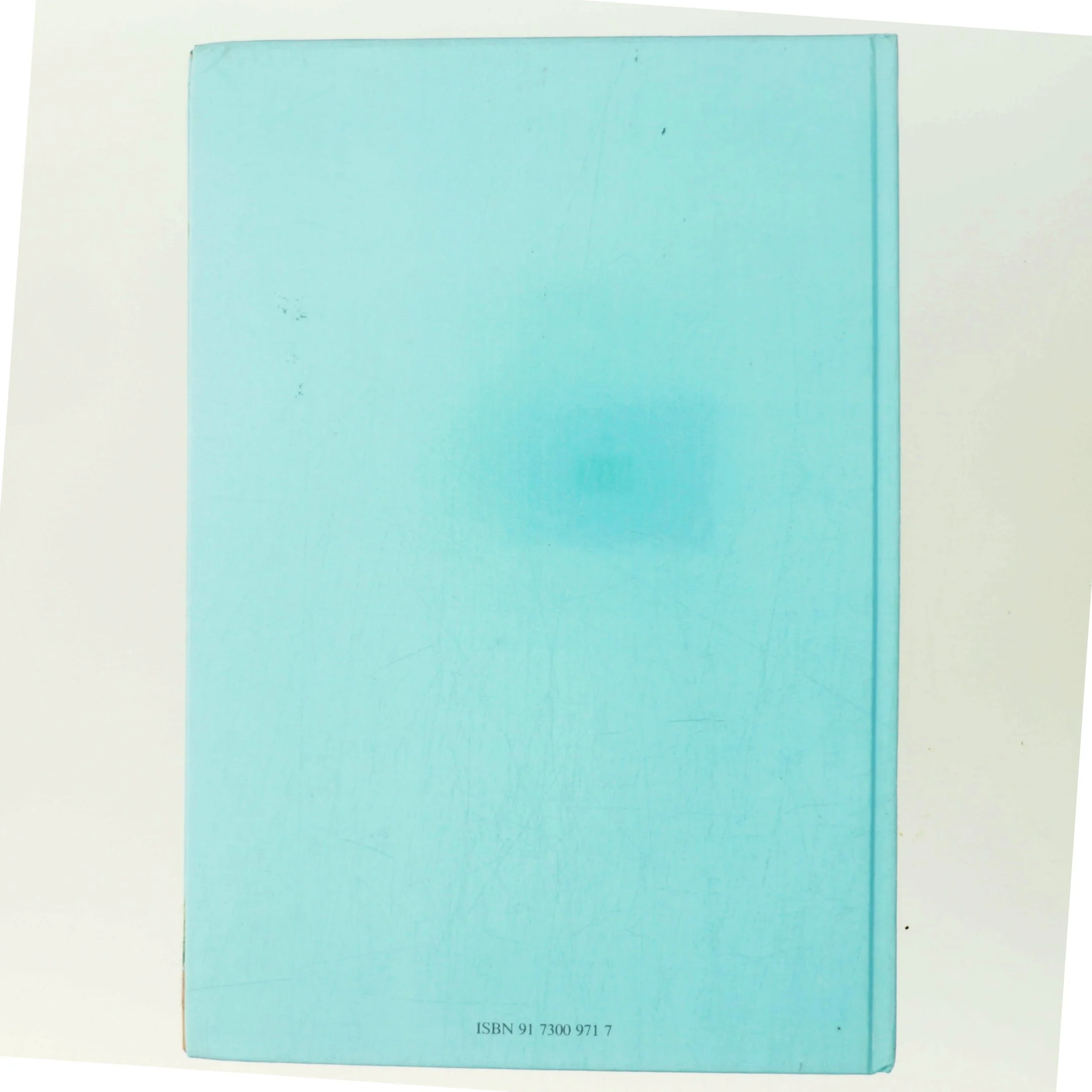 Det susar i säven: Herr Paddas äventyr (Bog)