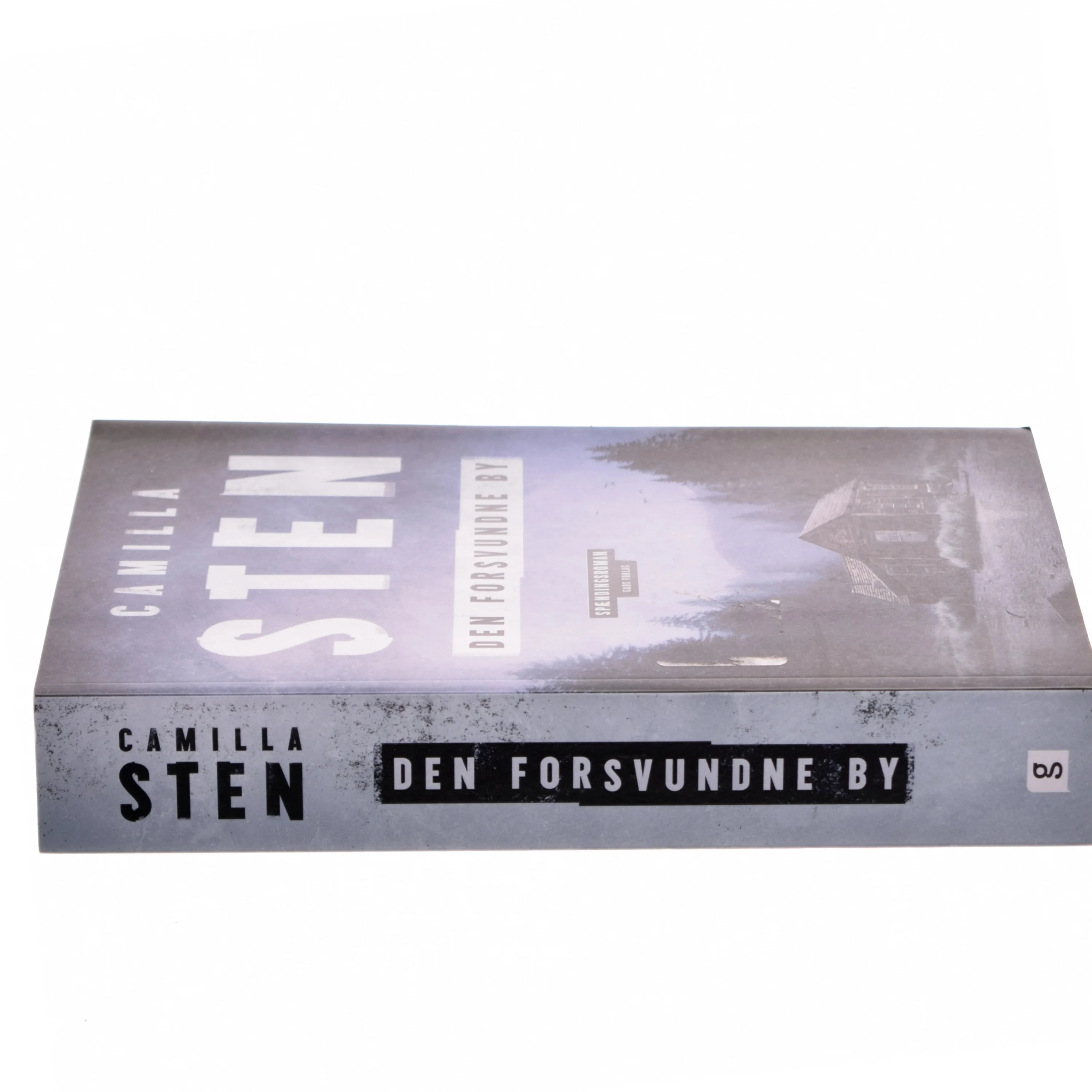 Den forsvundne by af Camilla Sten (f. 1992) (Bog)