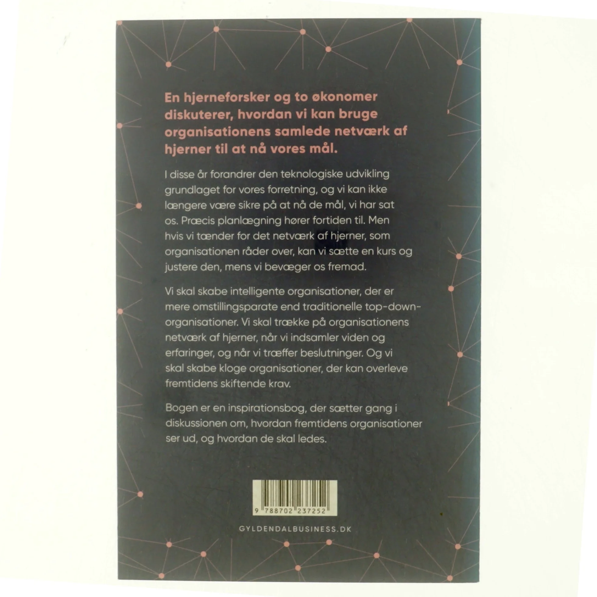 Et netværk af Hjerner - Tænk med dine medarbejdere og led med succes (Bog)