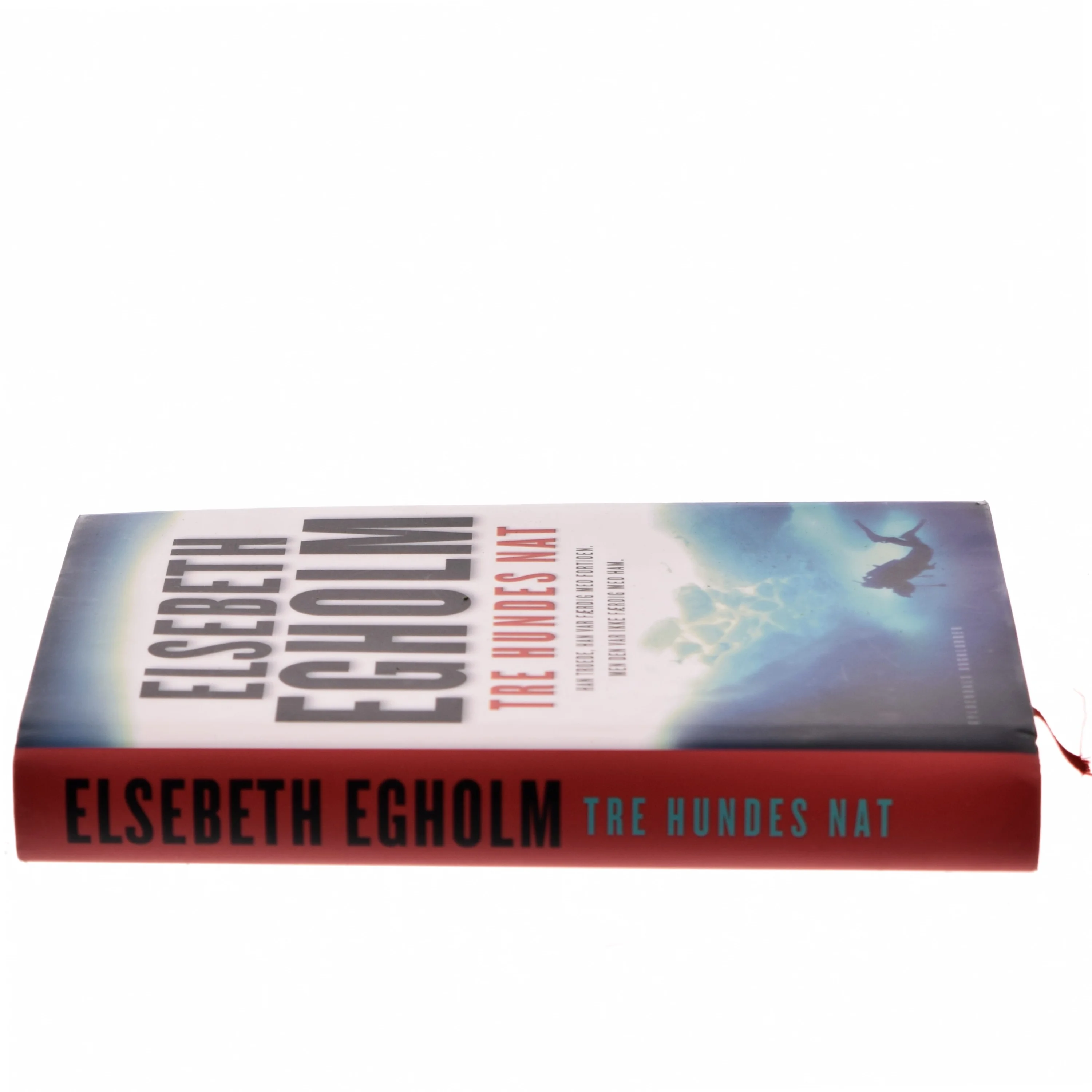 Tre hundes nat af Elsebeth Egholm (Bog)