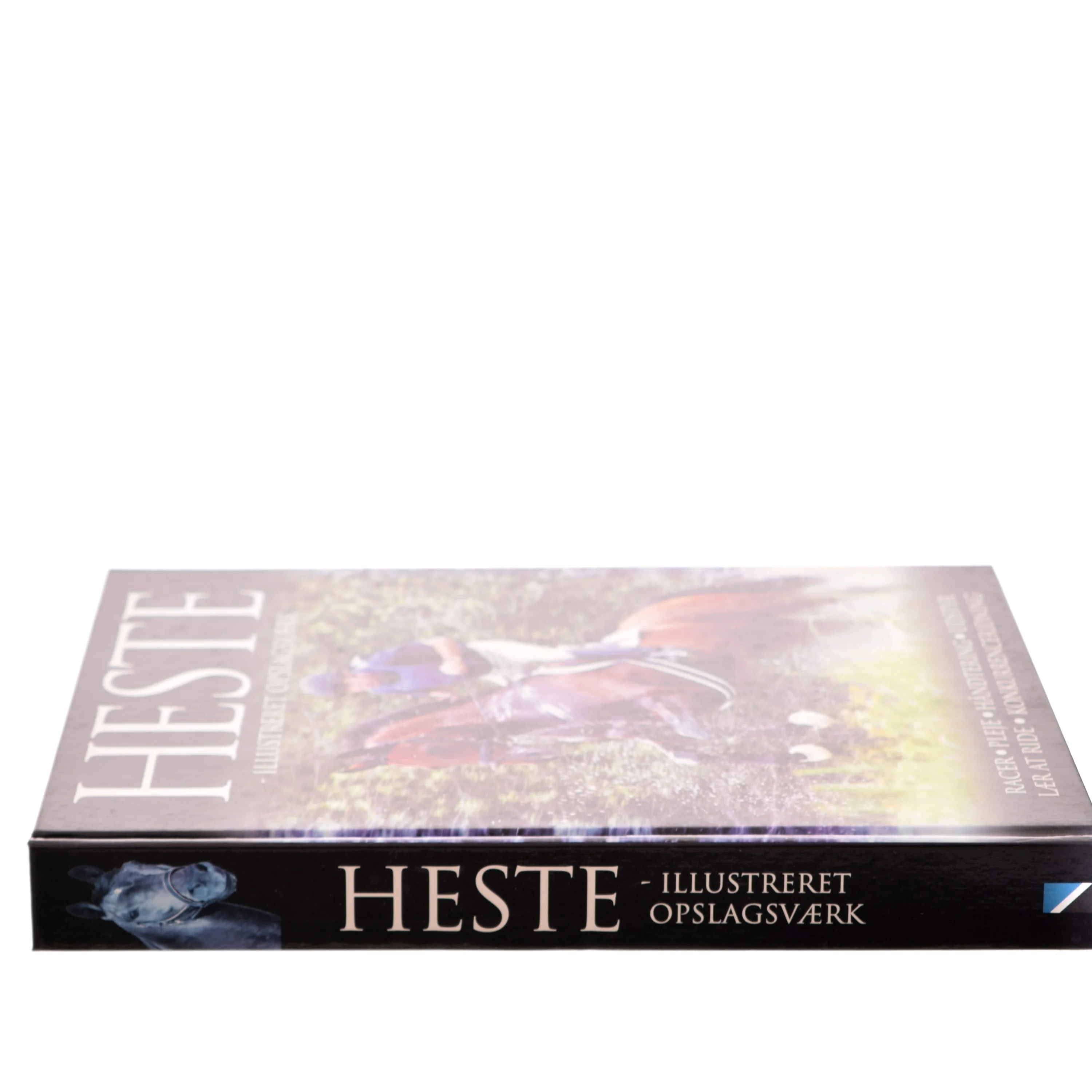 Heste - illustreret opslagsværk af Lin Esposito (Bog)