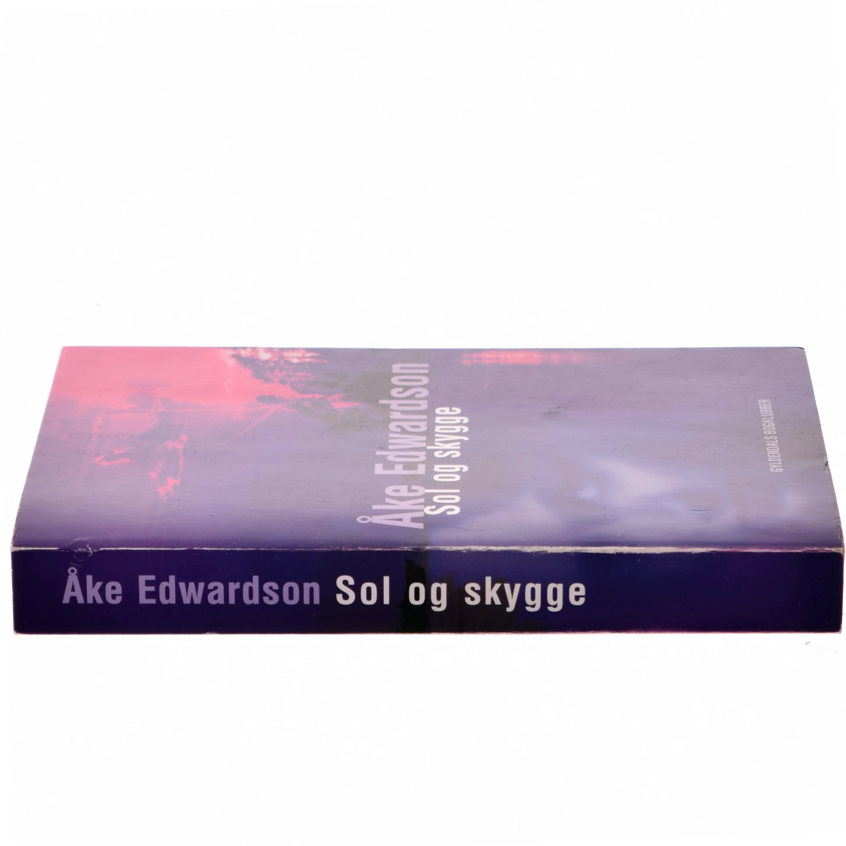 Sol og skygge af Åke Edwardson (Bog)
