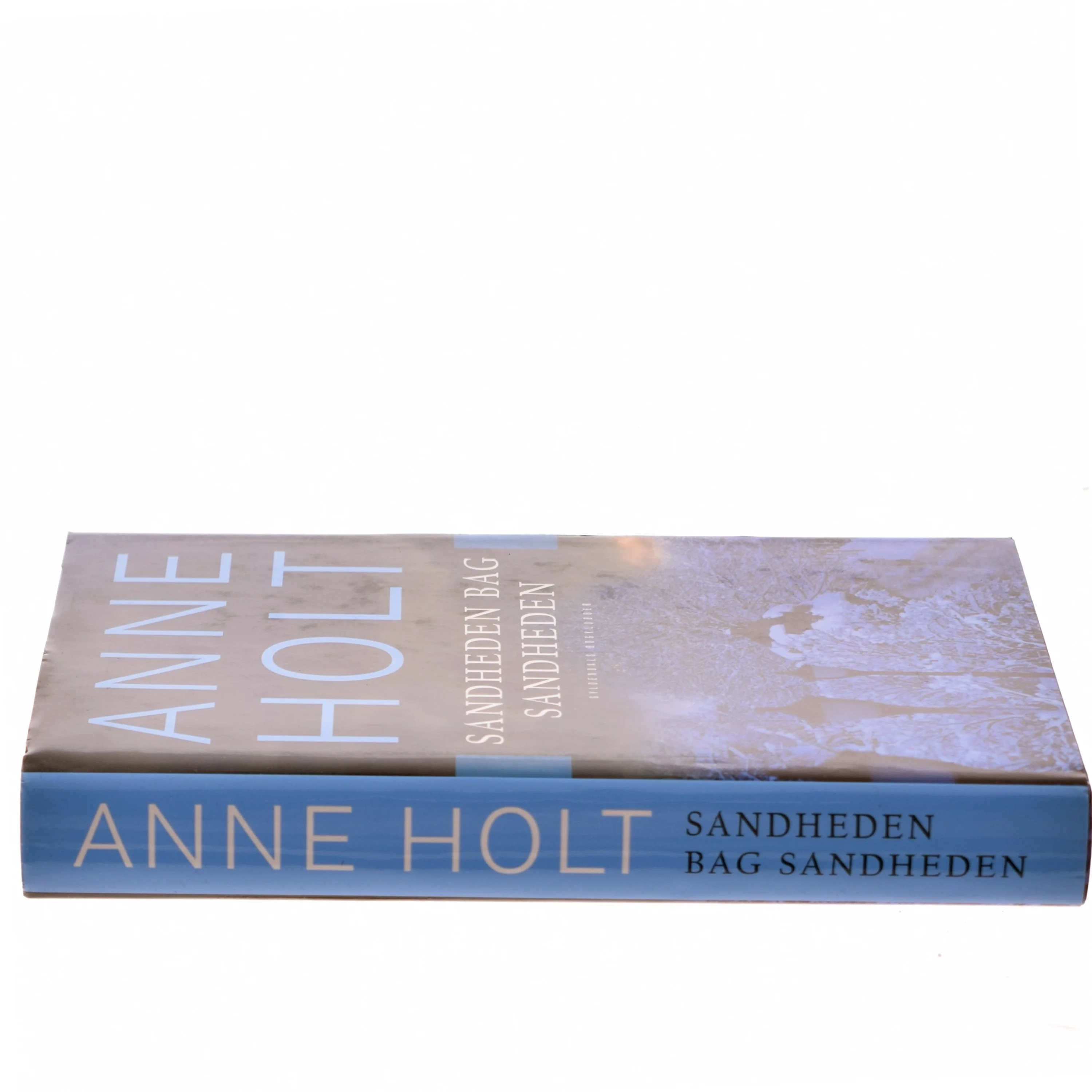 Sandheden bag sandheden : en Hanne Wilhelmsen-roman af Anne Holt (f. 1958-11-16) (Bog)