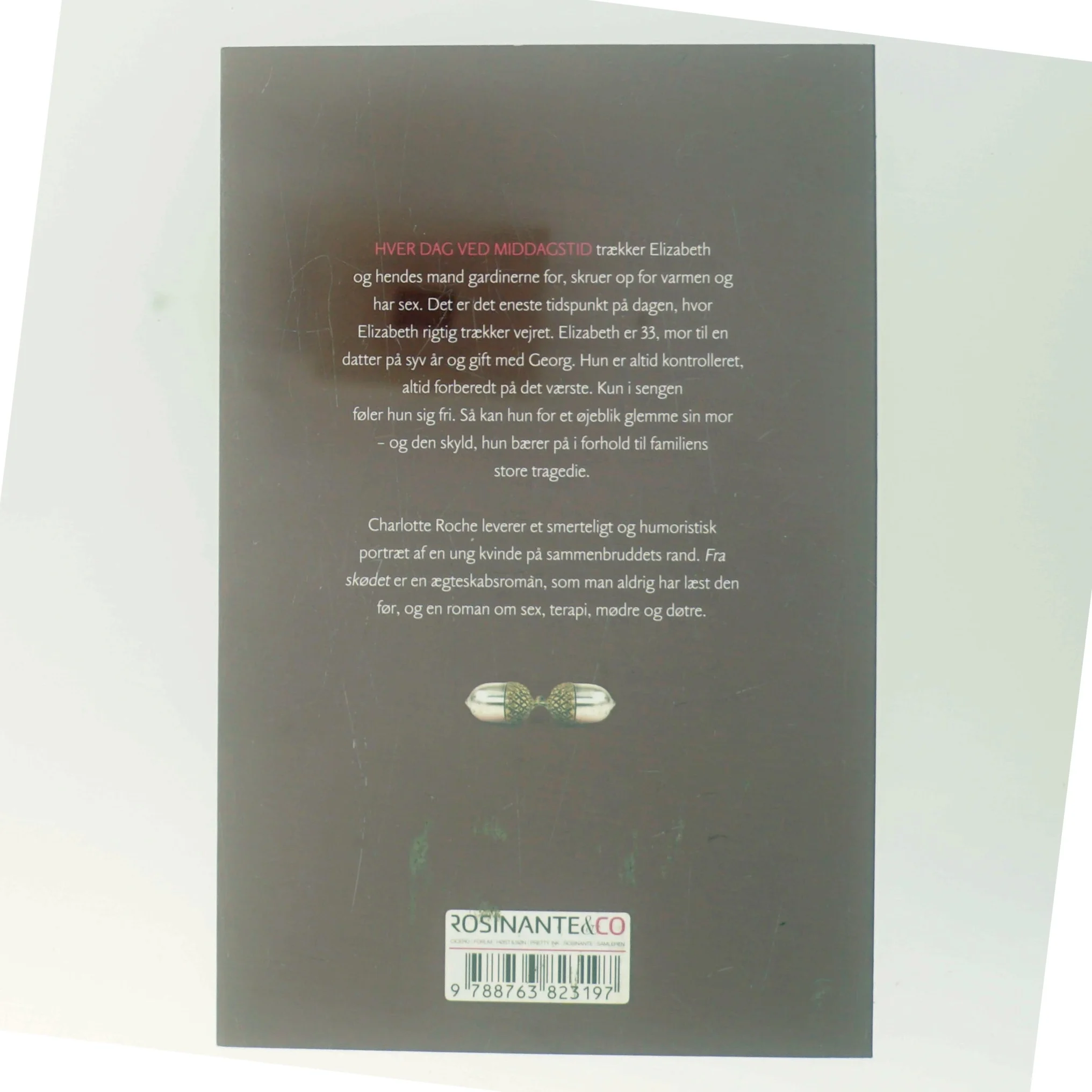 Fra skødet : roman af Charlotte Roche (Bog)