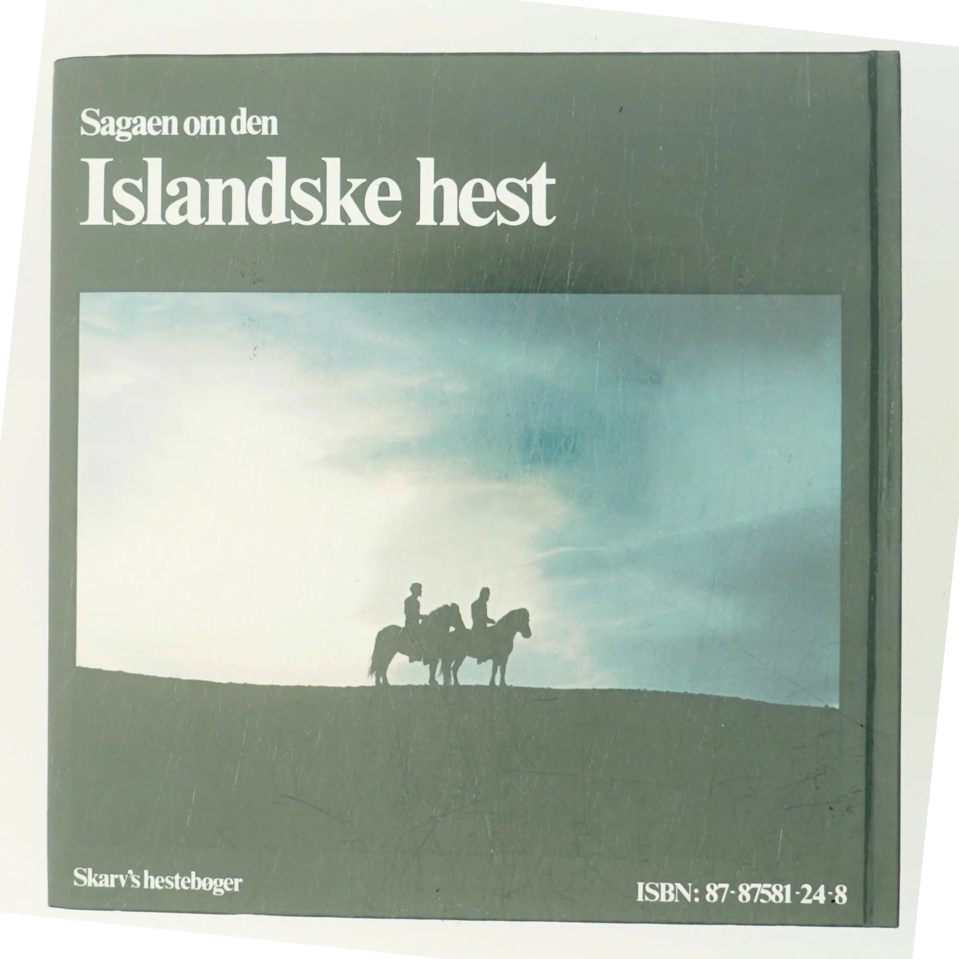 Gudernes hest af S.A. Magnússon (Bog)