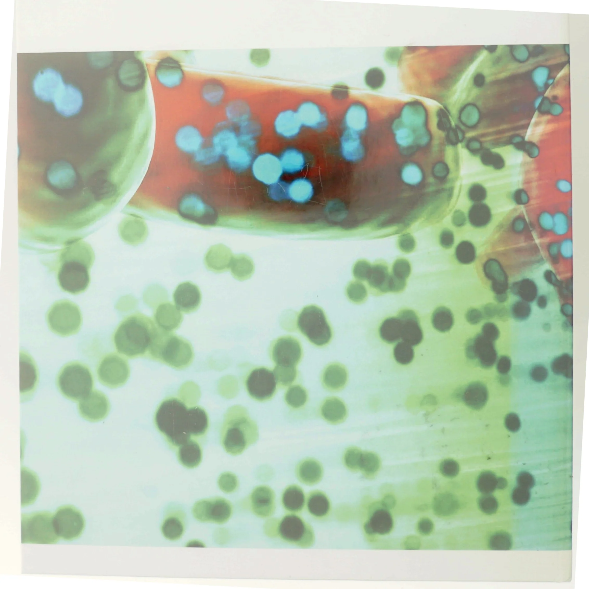 Forskerliv – Liv i forskningen (Bog)