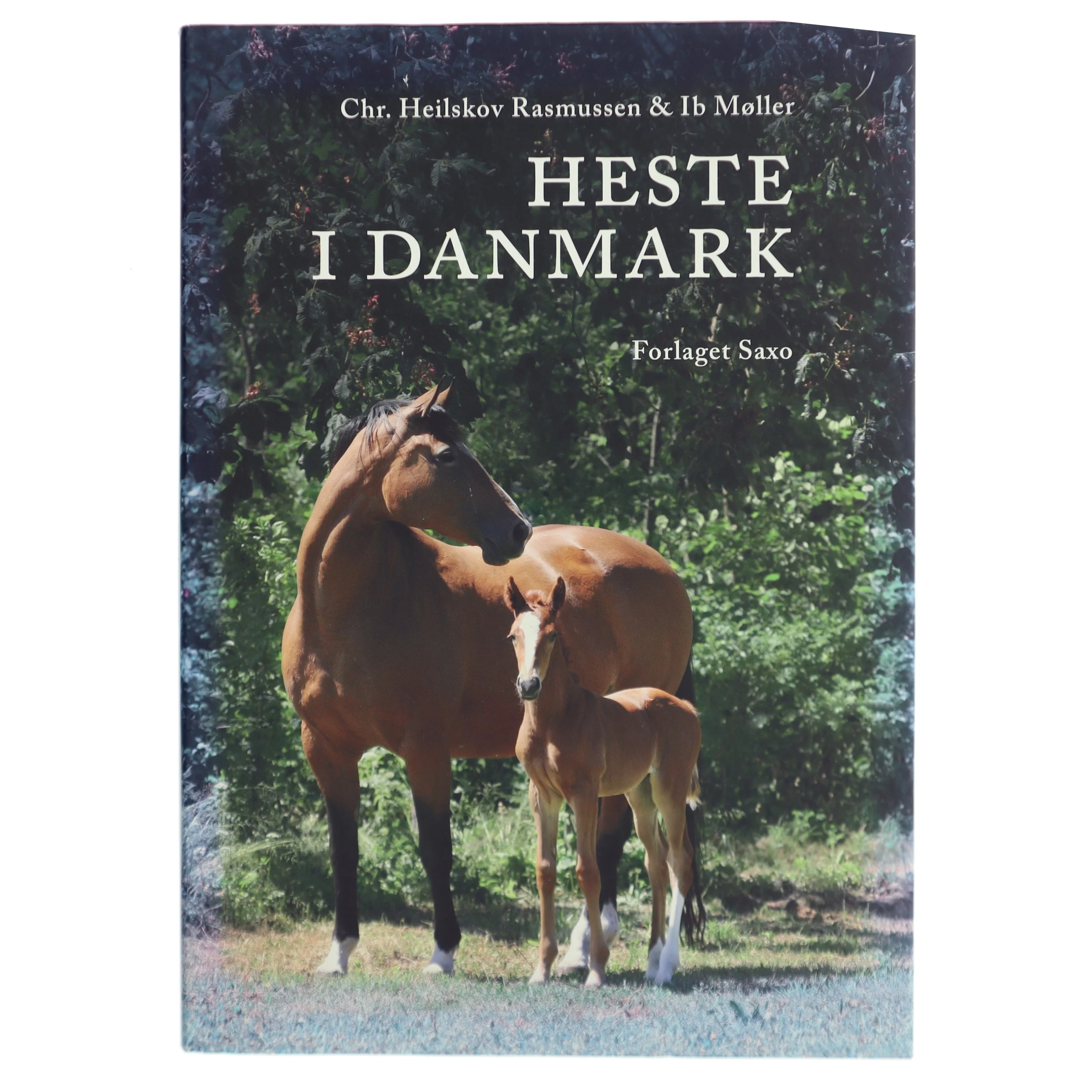 Heste i Danmark af Chr. Heilskov Rasmussen & Ib Møller (Bog)
