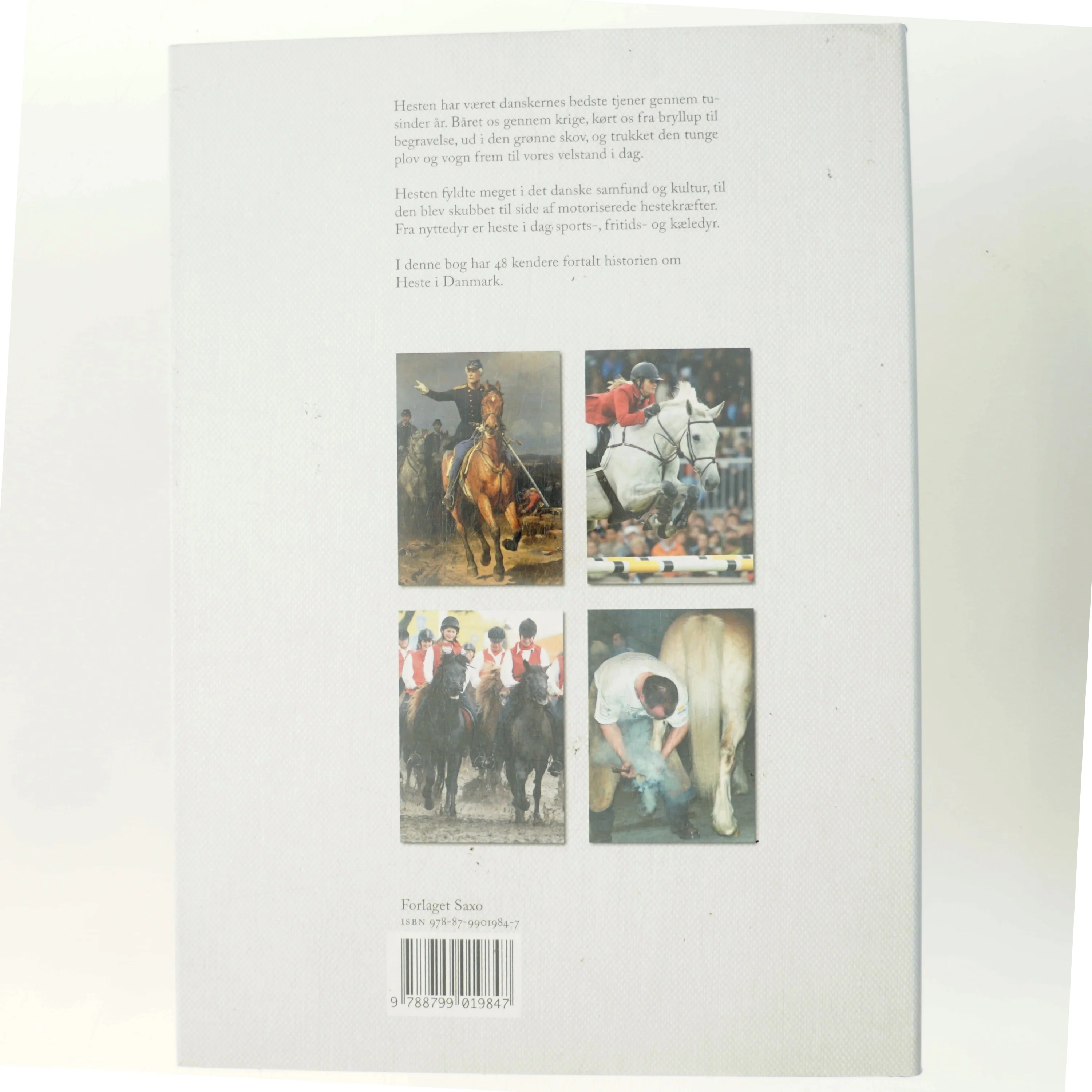 Heste i Danmark af Chr. Heilskov Rasmussen & Ib Møller (Bog)