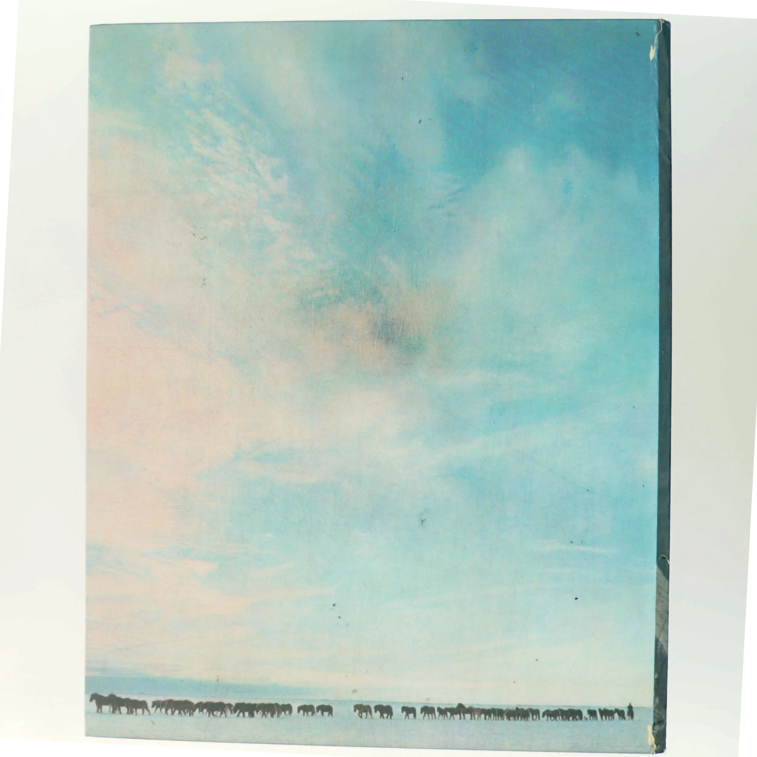 Hestar af <Bogens forfattere> (Bog)