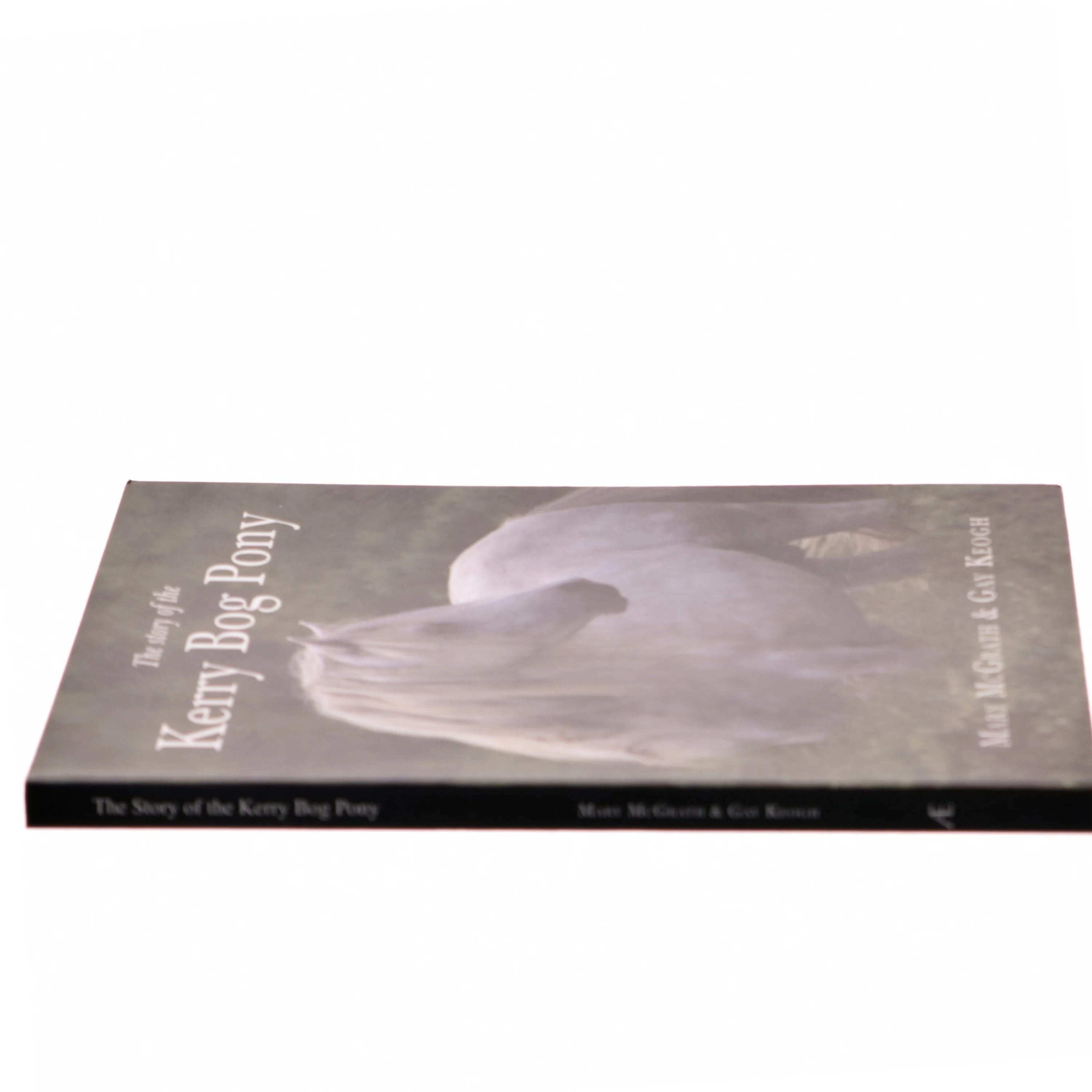 The Story of the Kerry Bog Pony (Bog)