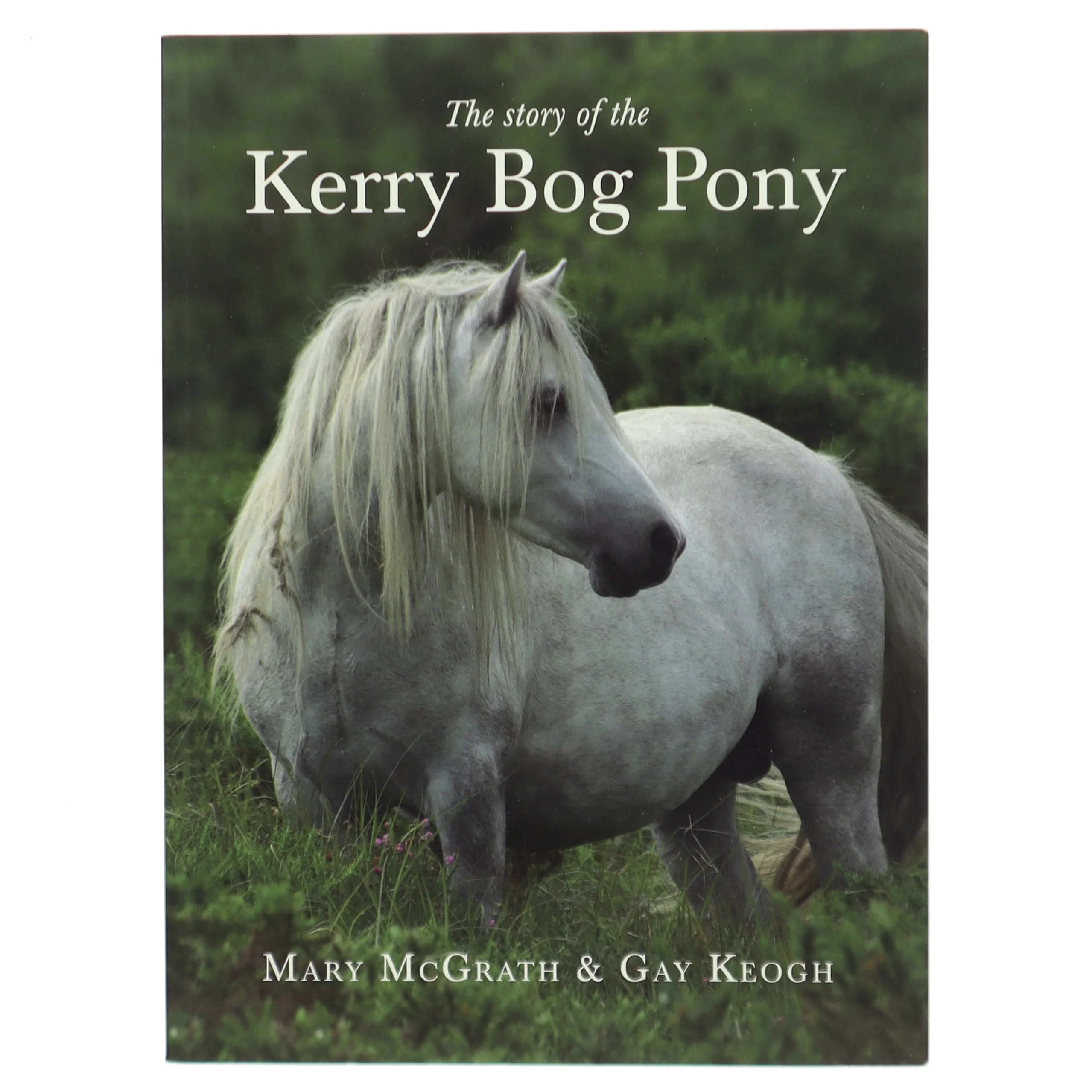 The Story of the Kerry Bog Pony (Bog)