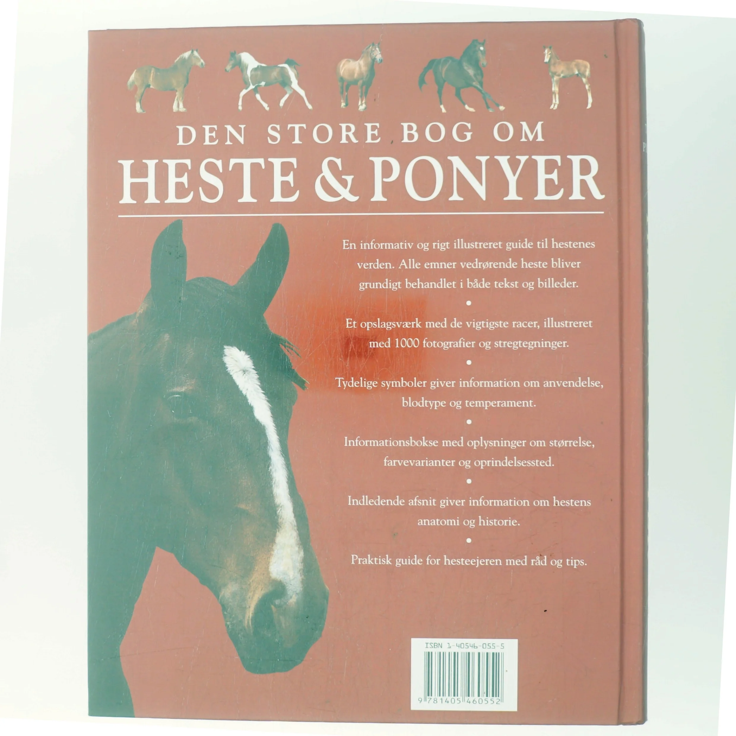 Den store bog om heste & ponyer af Tamsin Pickeral (Bog)
