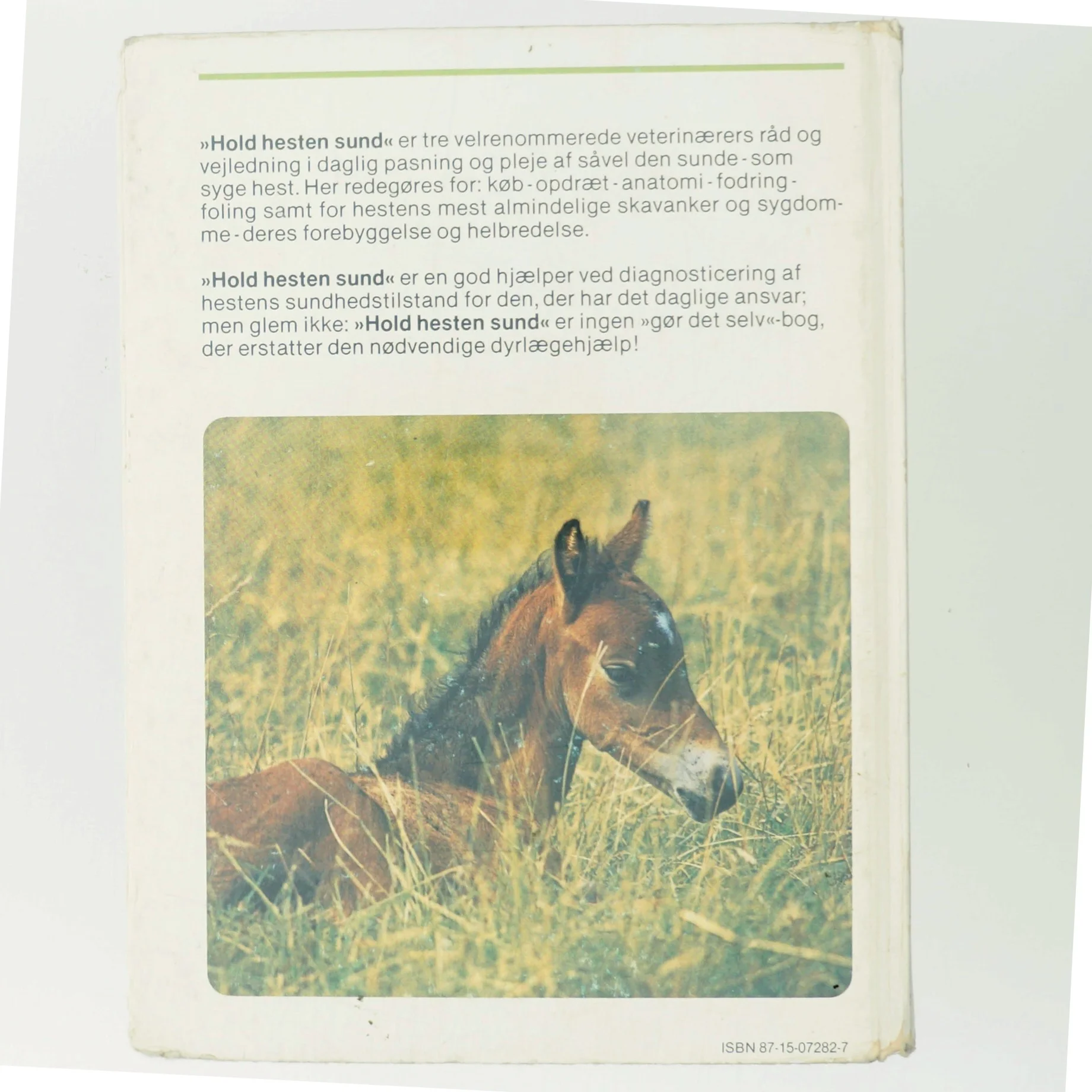 Hold hesten sund af Fritz Sevelius (Bog)