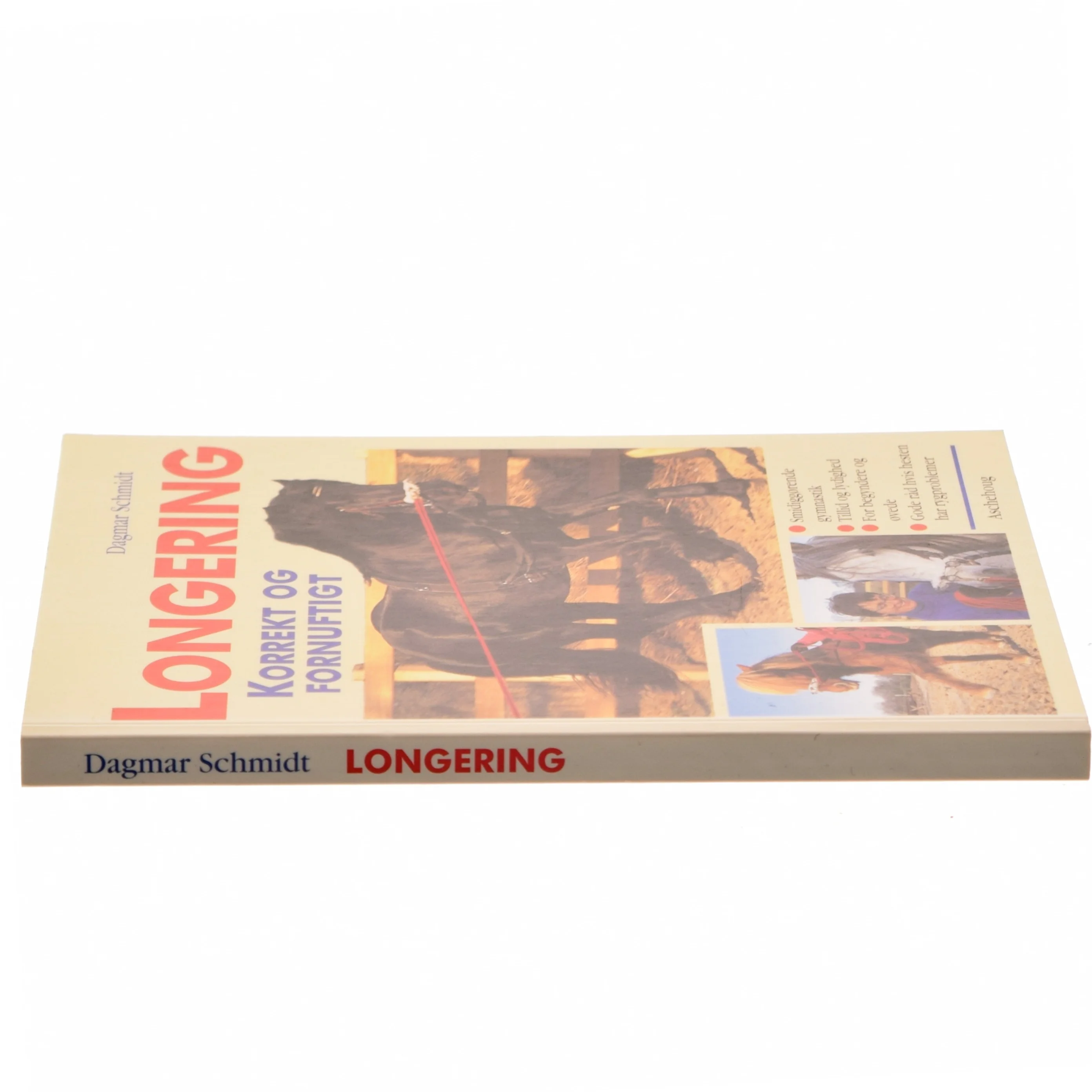 Longering : korrekt og fornuftigt af Dagmar Schmidt (Bog)