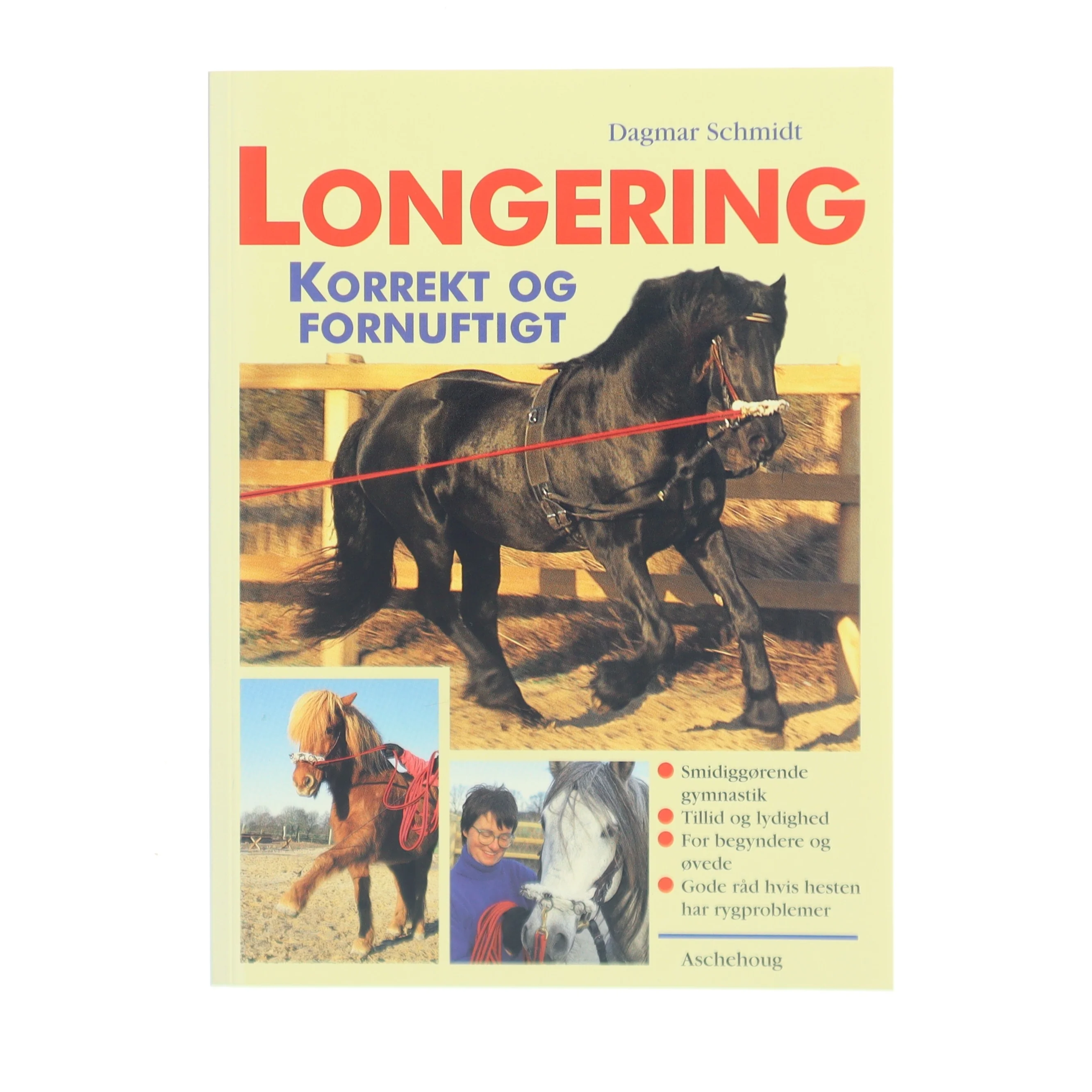 Longering : korrekt og fornuftigt af Dagmar Schmidt (Bog)