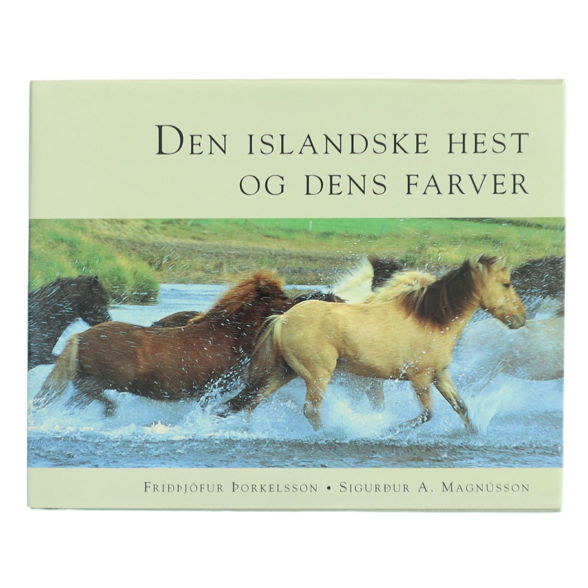 Íslenski hesturinn - litir og litbrigði af Sigurður A. Magnússon (Bog)