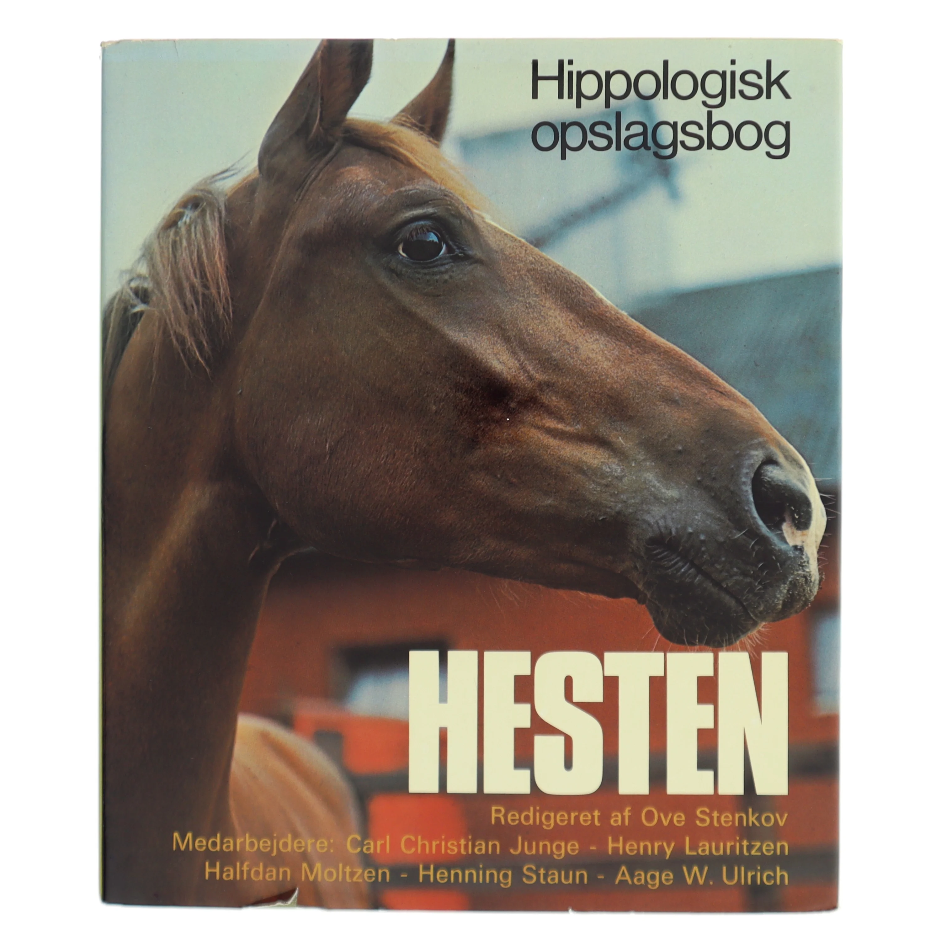 Hesten (Bog)