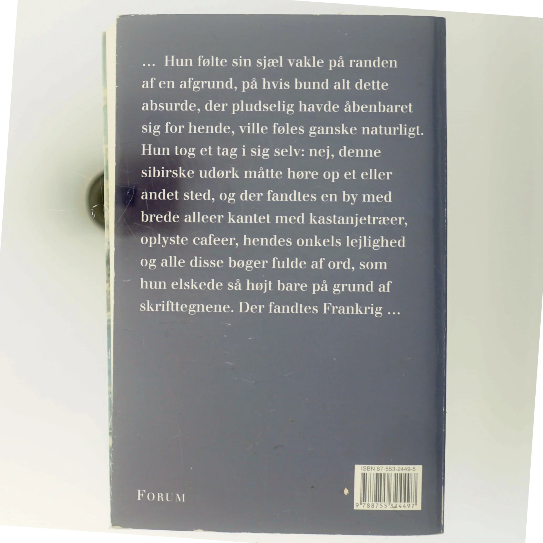 Det franske testamente : roman af Andreï Makine (Bog)