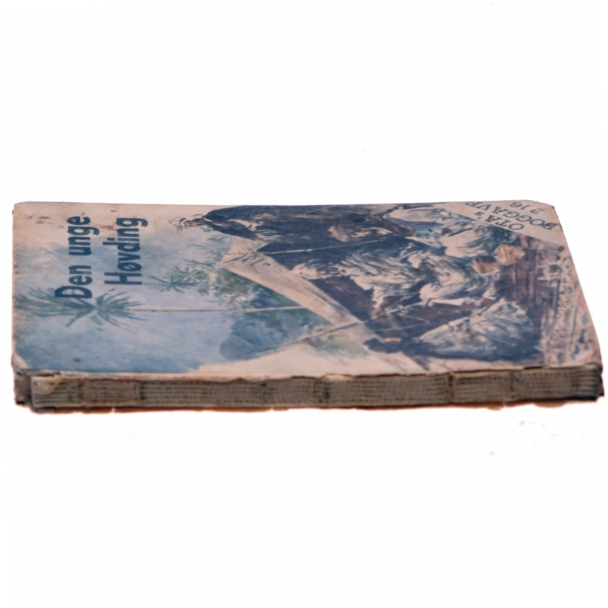 Den unge Høvding (Bog)