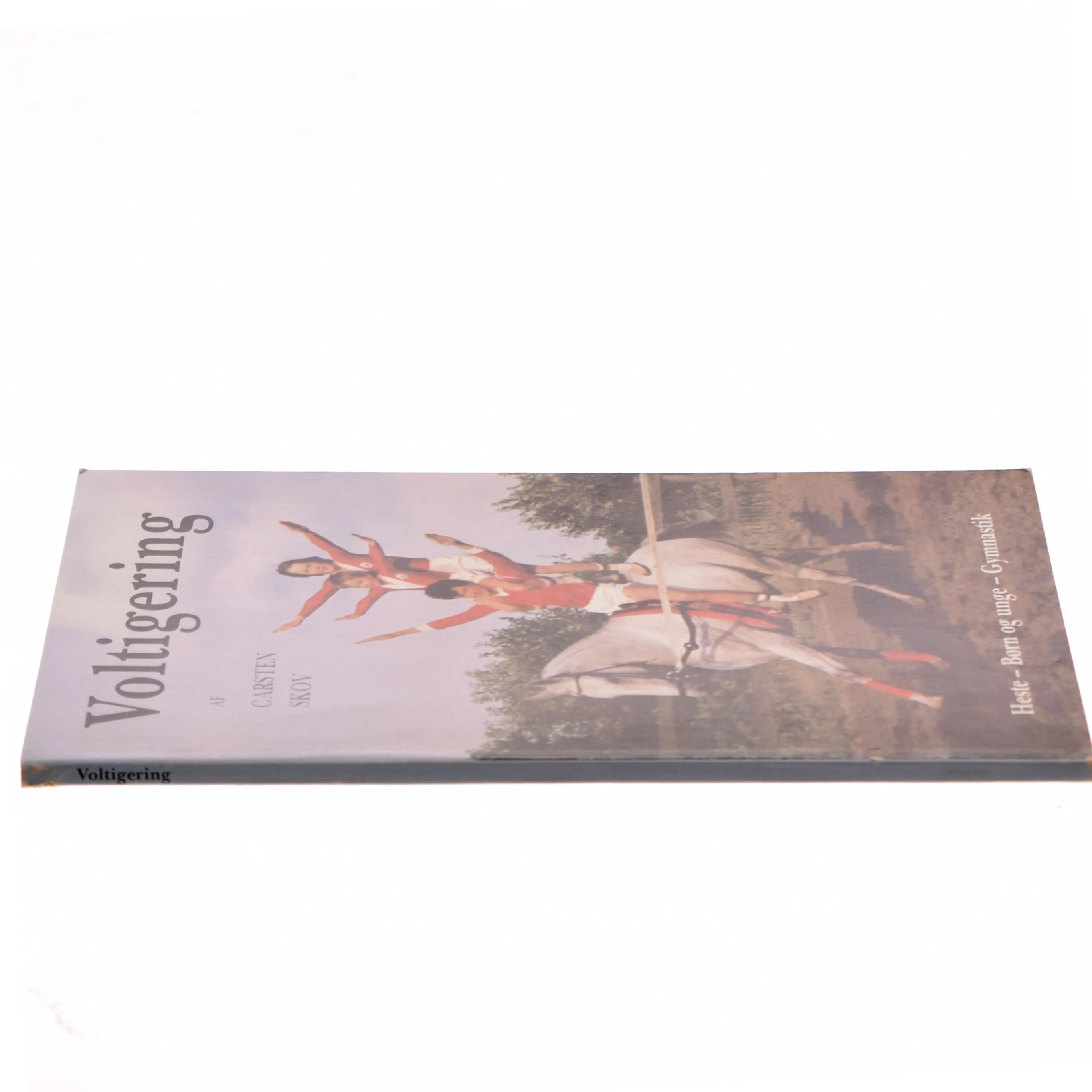 Voltigering af Carsten Skov (Bog)