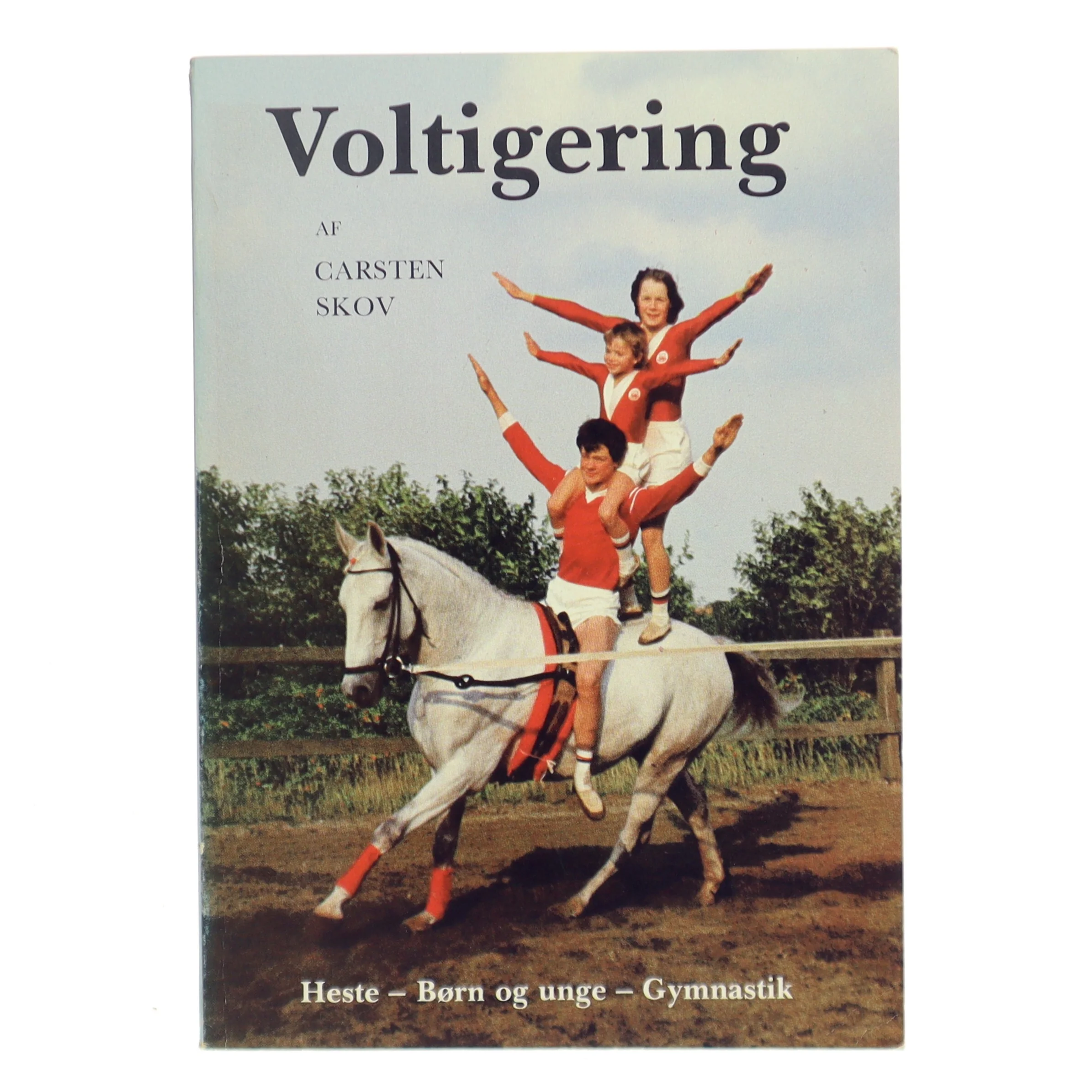 Voltigering af Carsten Skov (Bog)