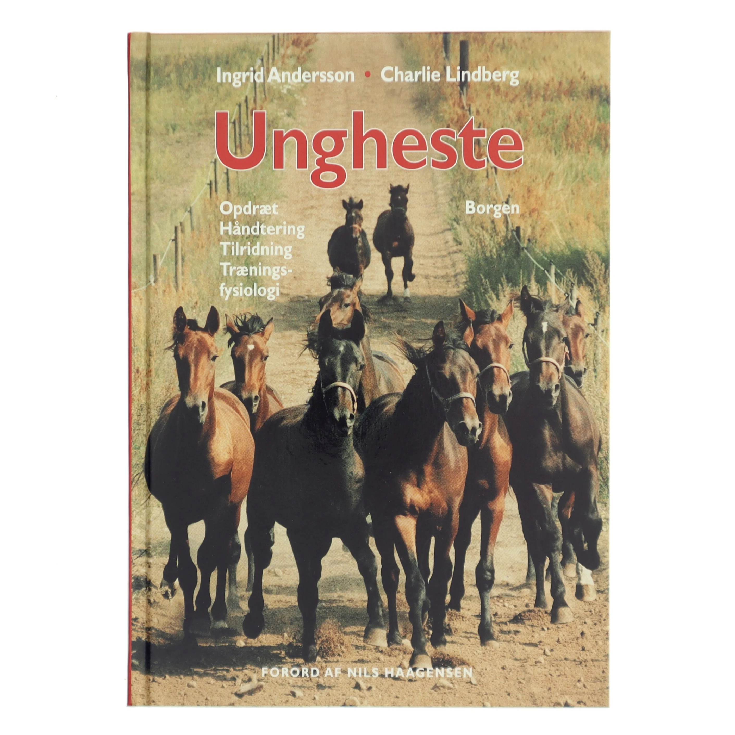 Ungheste : opdræt, håndtering, tilridning og træningsfysiologi (Bog)