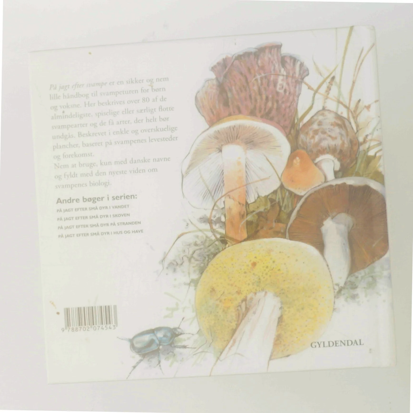 På jagt efter svampe af Peter Nielsen (f. 1946-05-08) (Bog)