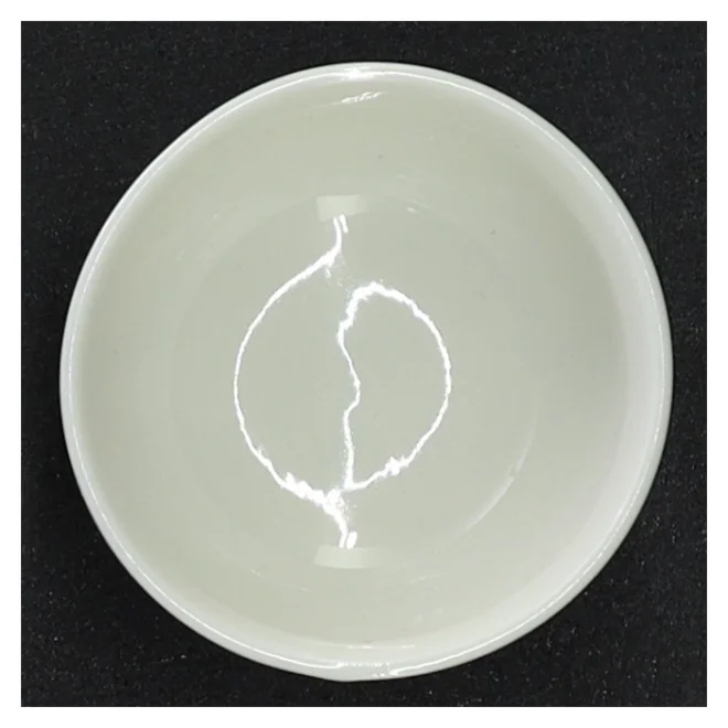 Ubrugt casalinga skål