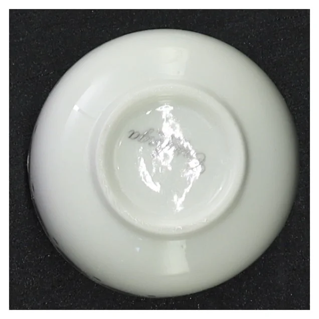 Ubrugt casalinga skål