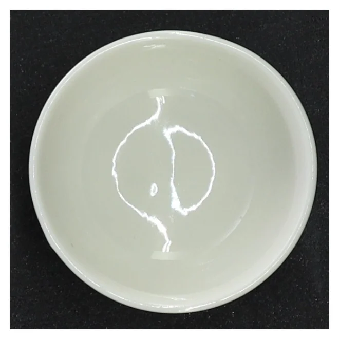 Ubrugt casalinga skål