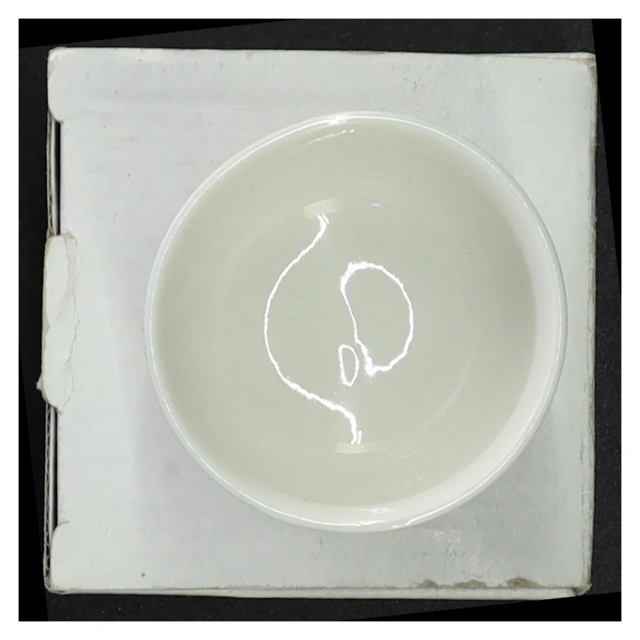 Ubrugt casalinga skål