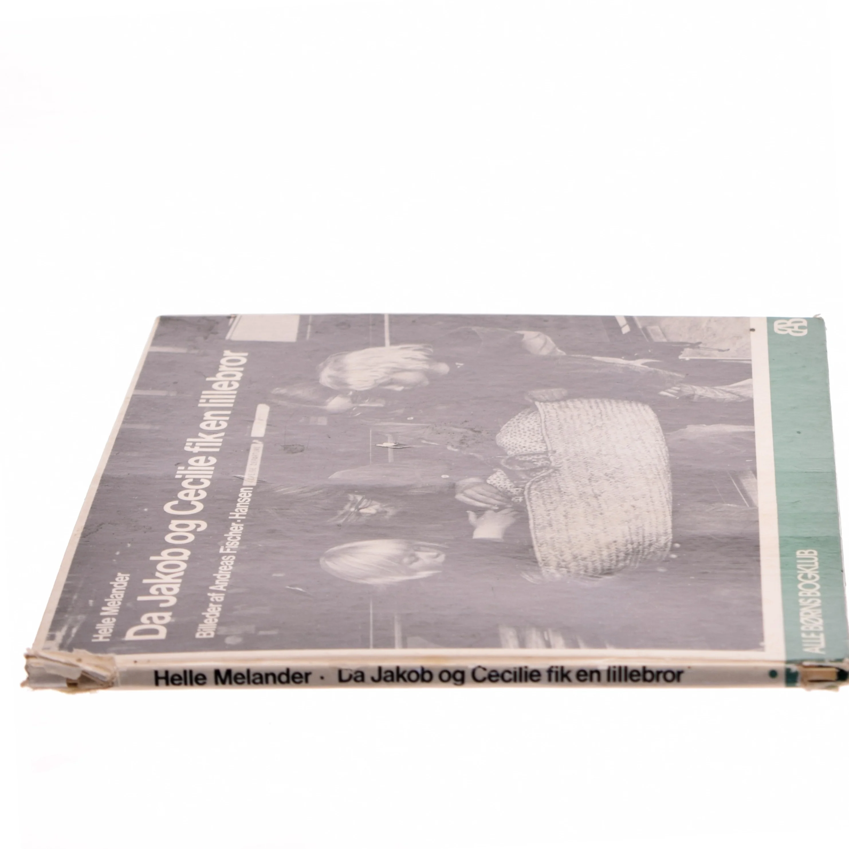 Da Jakob og Cecilie fik en lillebror af Helle Melander (Bog)