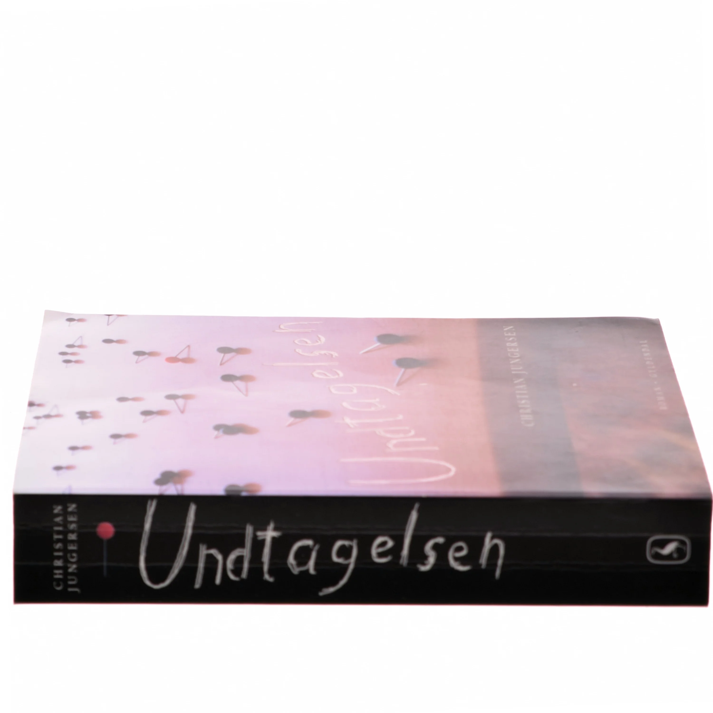 Undtagelsen af Christian Jungersen (Bog)