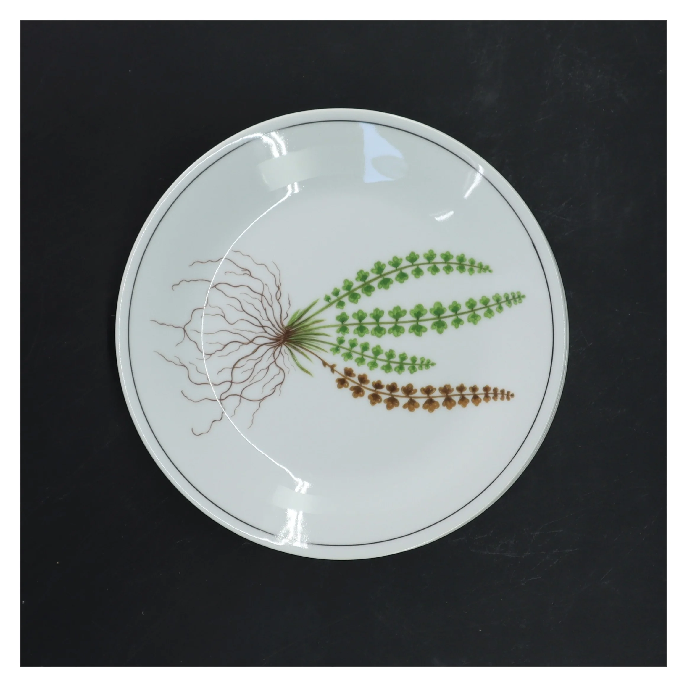 Tallerkensæt med planteillustration fra Royal Copenhagen (str. Ø 17 cm)