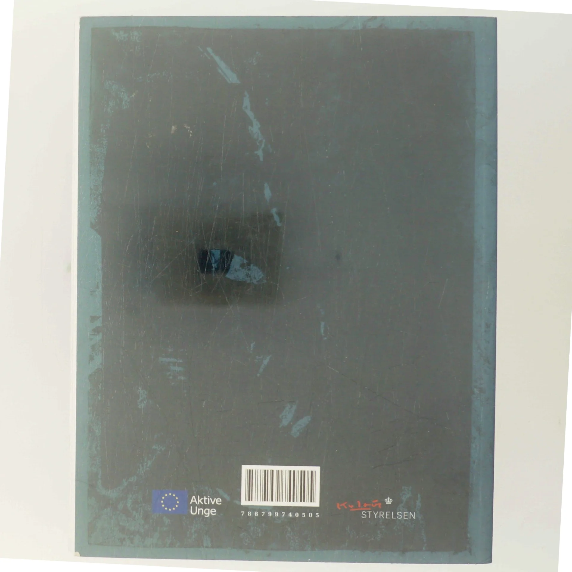 De frafaldne : 20 fortællinger af unge om frafald fra ungdomsuddannelser (Bog)