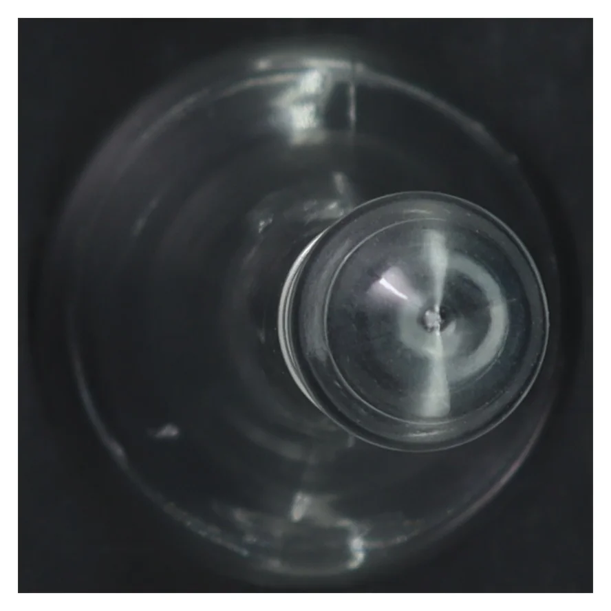 Glasflaske med prop (str. 31 cm)