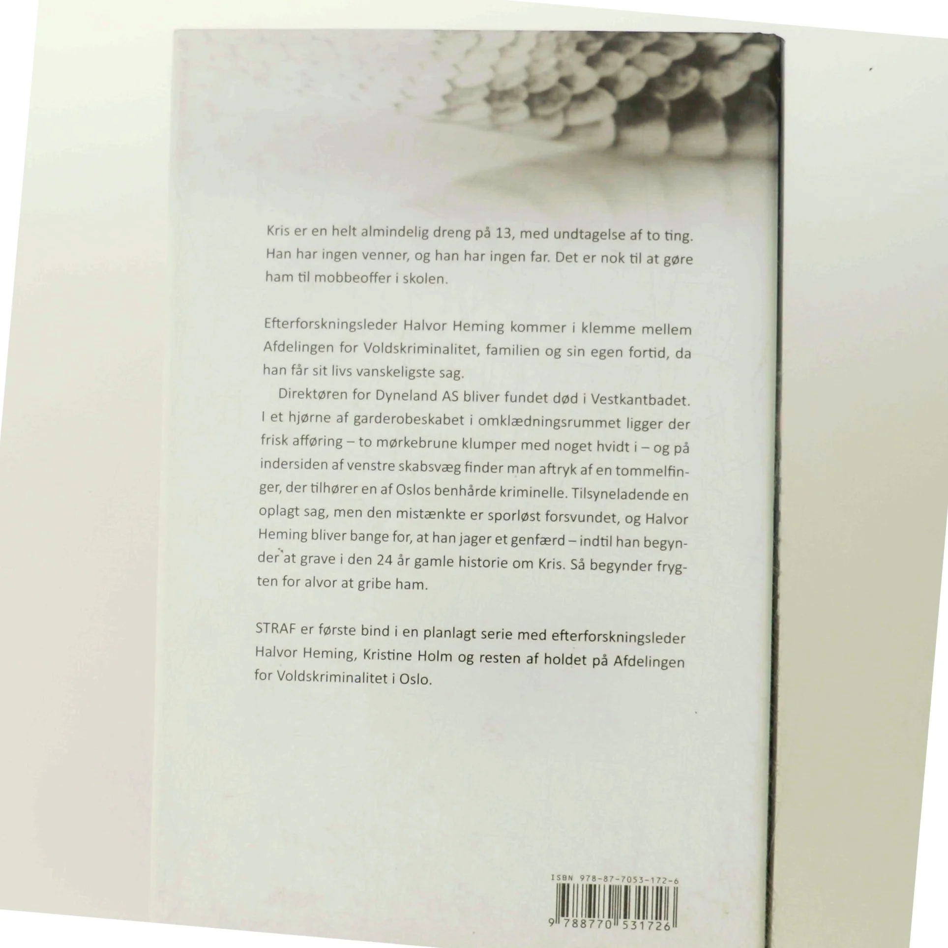 Straf af Birger Baug (Bog)