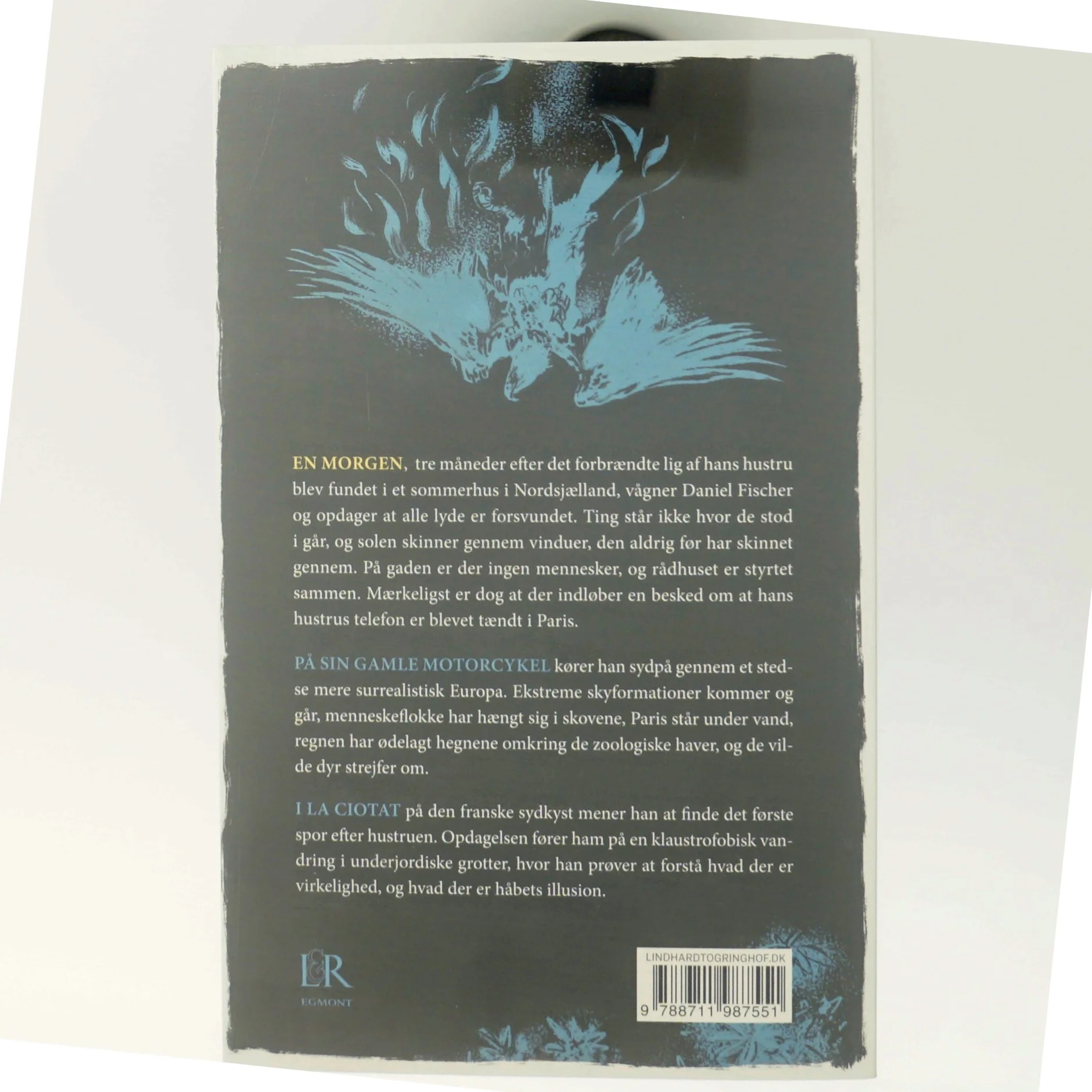 Måske et spinkelt jordskælv af Morten Brask (Bog)