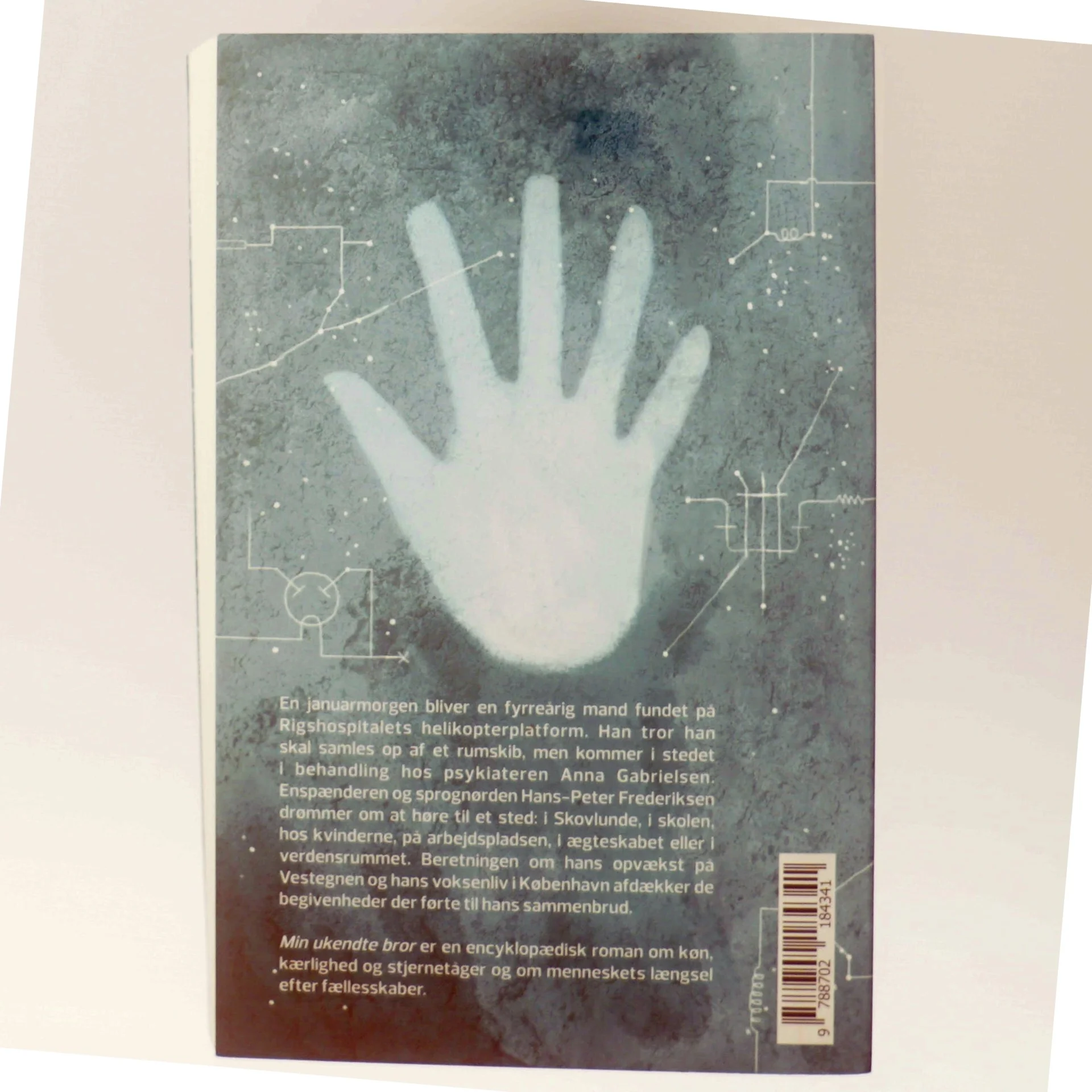 Min ukendte bror : roman af Niels Lyngsø (Bog)